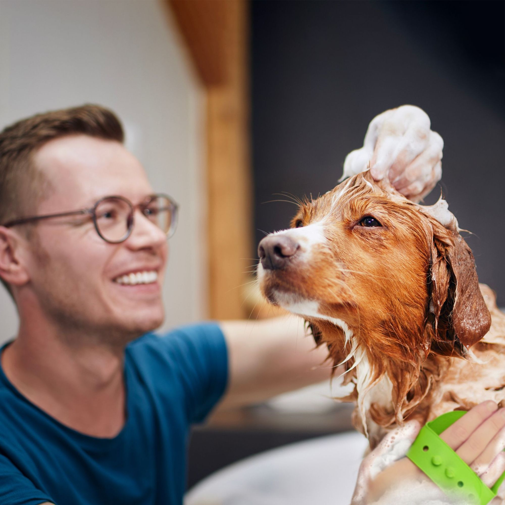 Massageborstel hond & kat set van 3