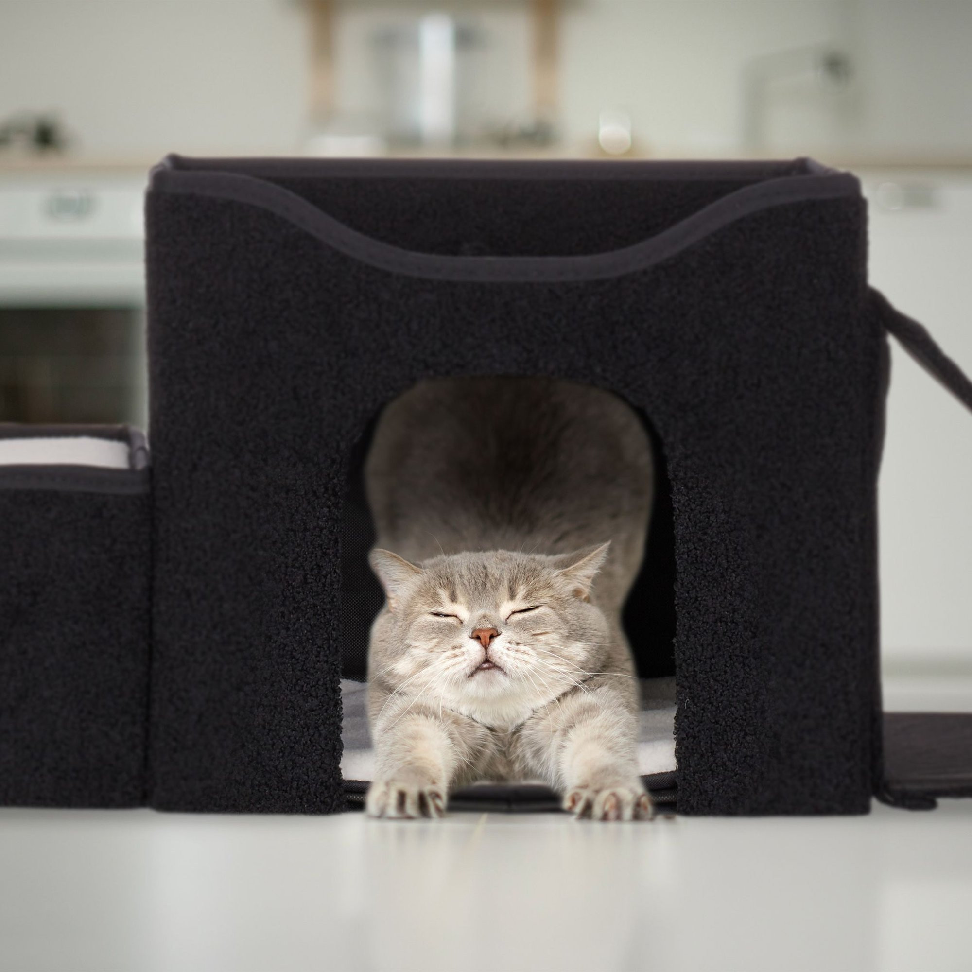 Cat hide with several beds