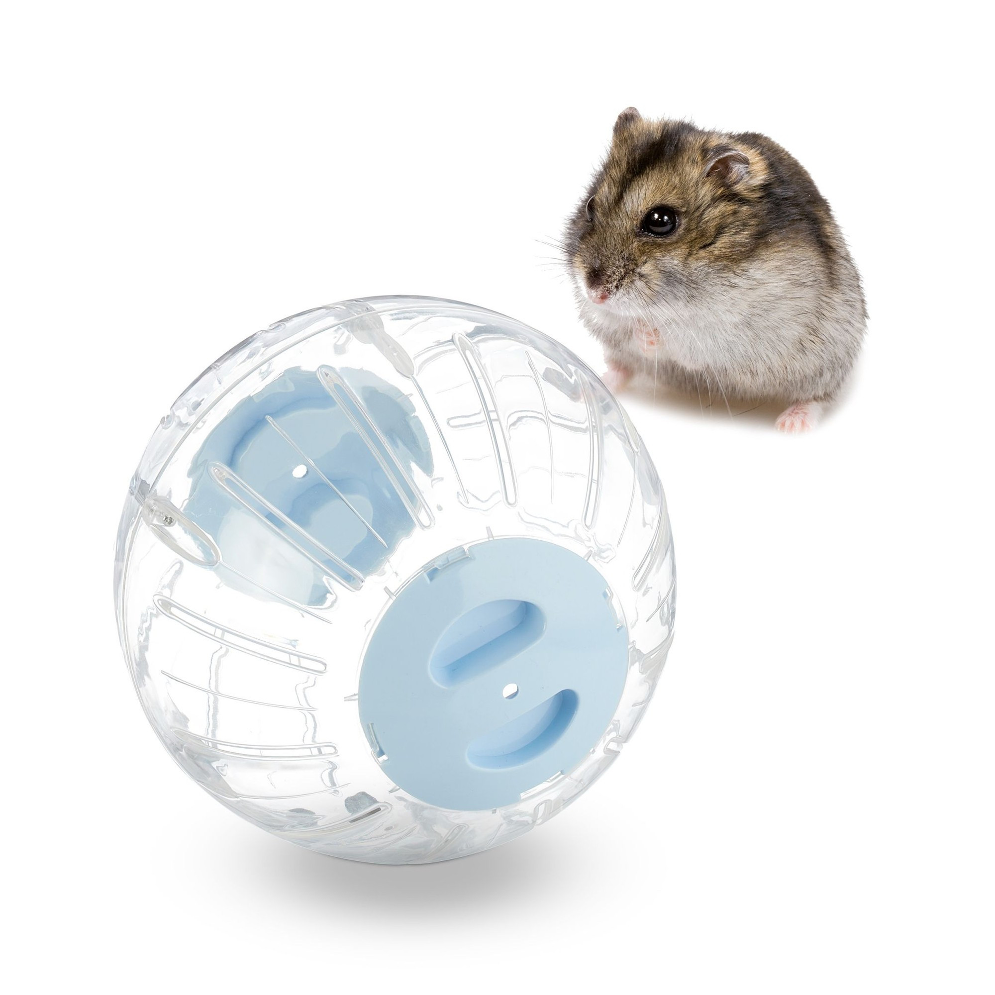 Hamsterball mit hellblauem Deckel