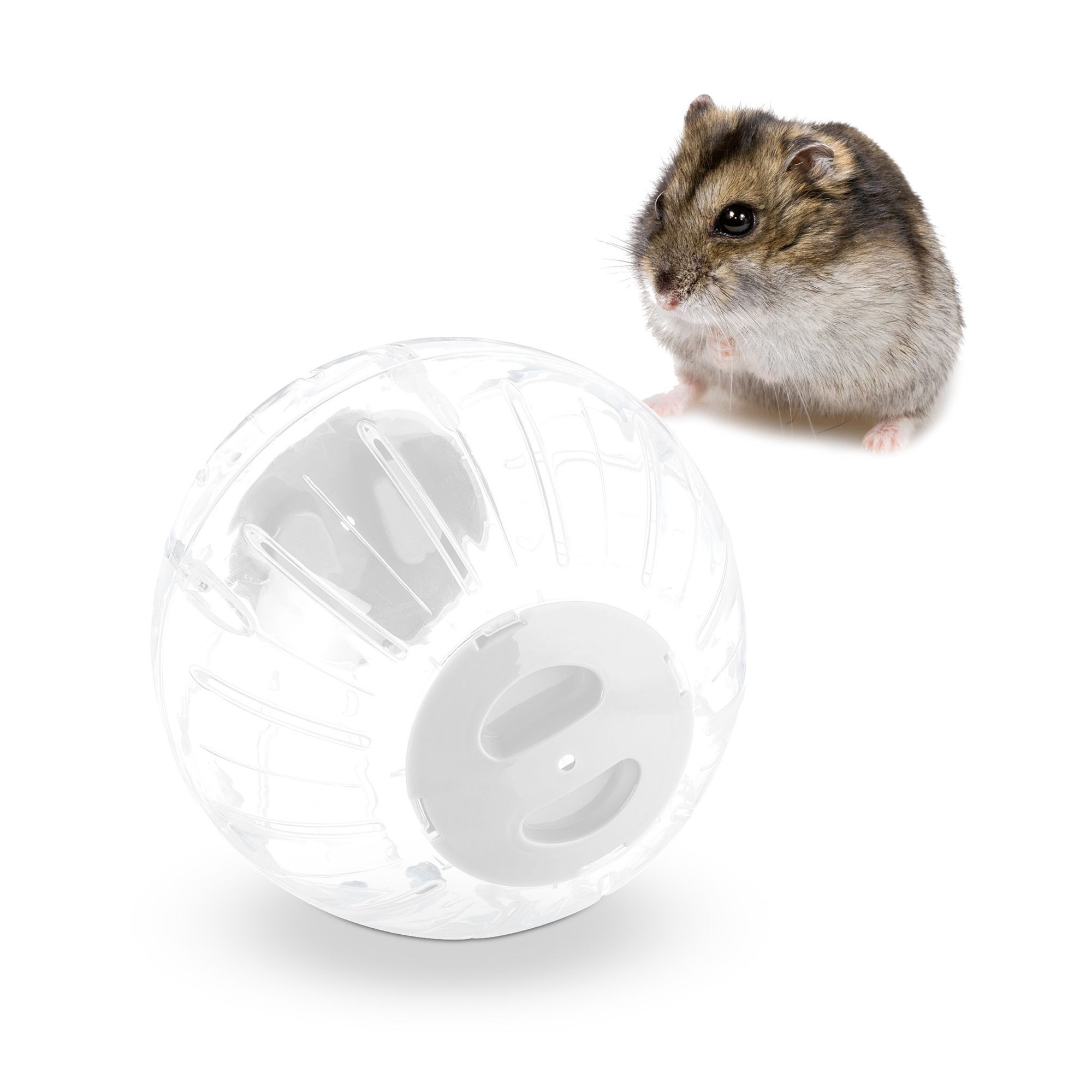 Hamsterbal met witte deksel