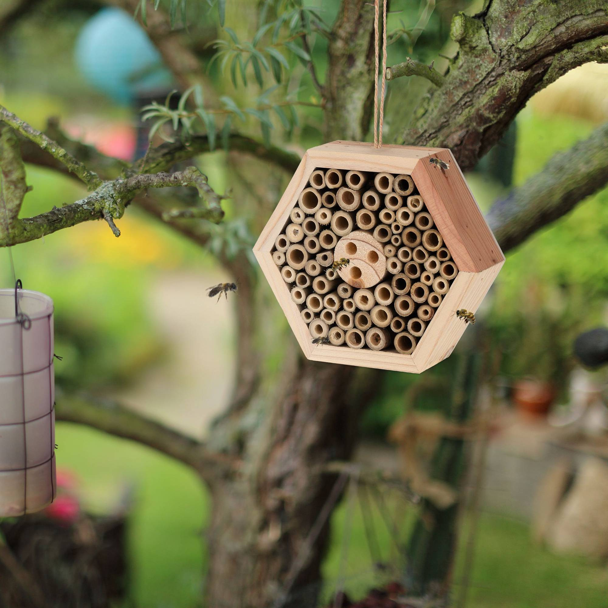 Hotel de madera para insectos