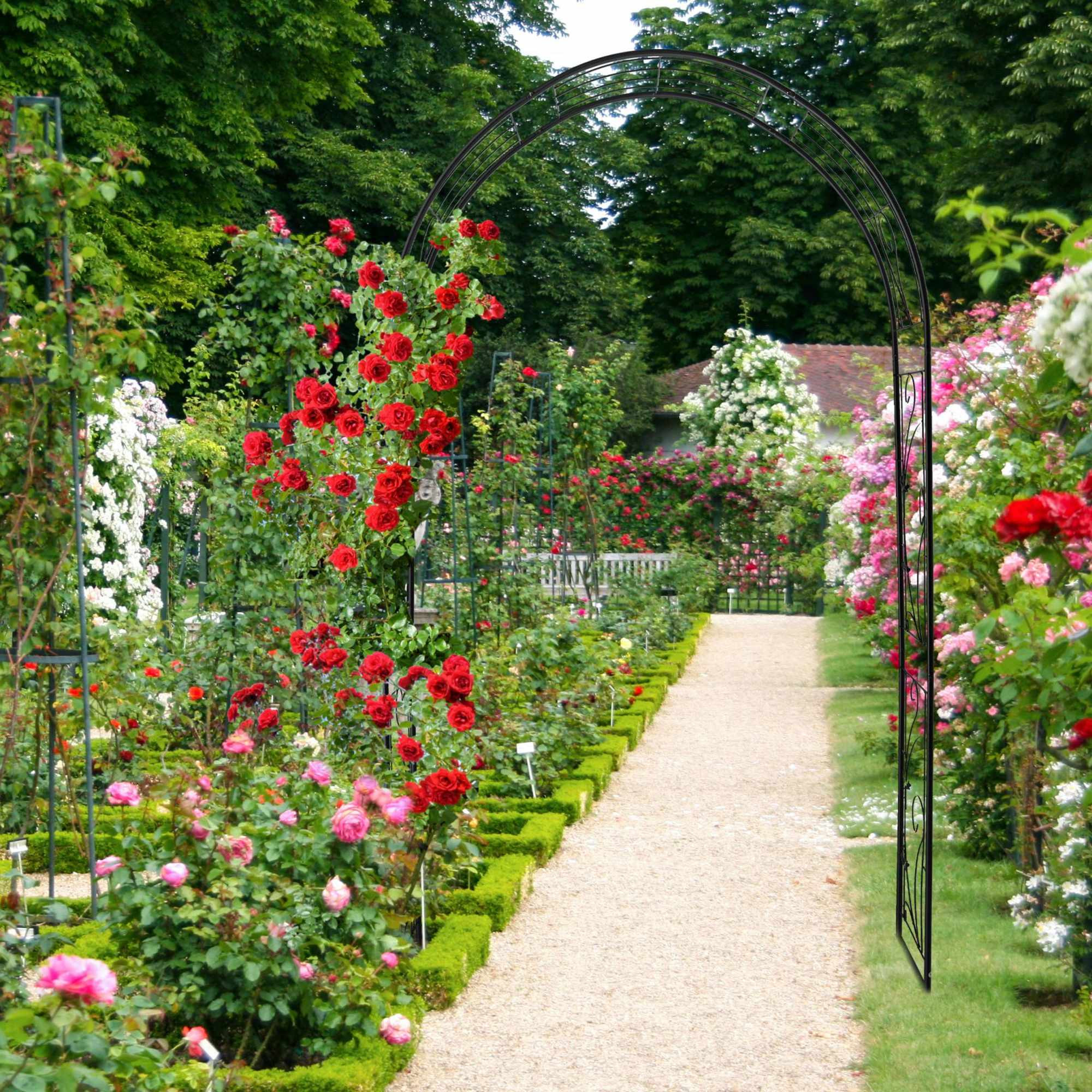 Arco de rosas de hierro