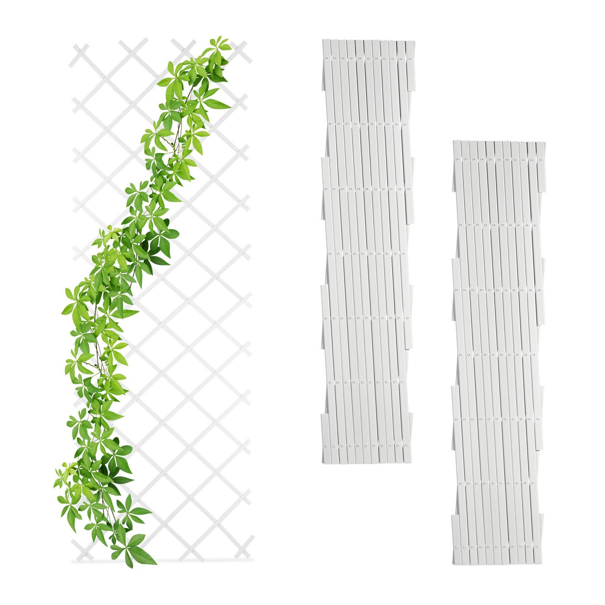 Spalier-Set mit 3.250 cm