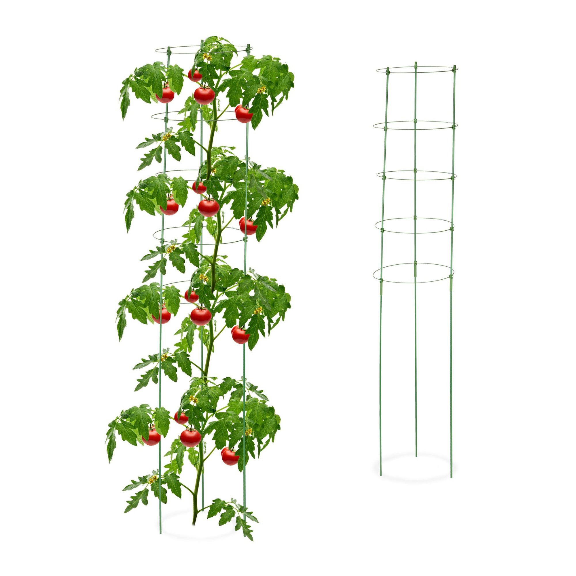 Supporto per piante 150 cm, set da 2