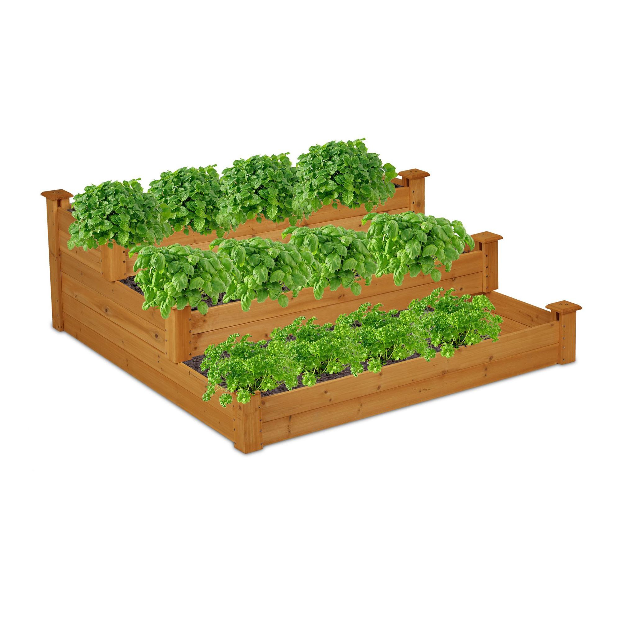 Grow box a 3 livelli