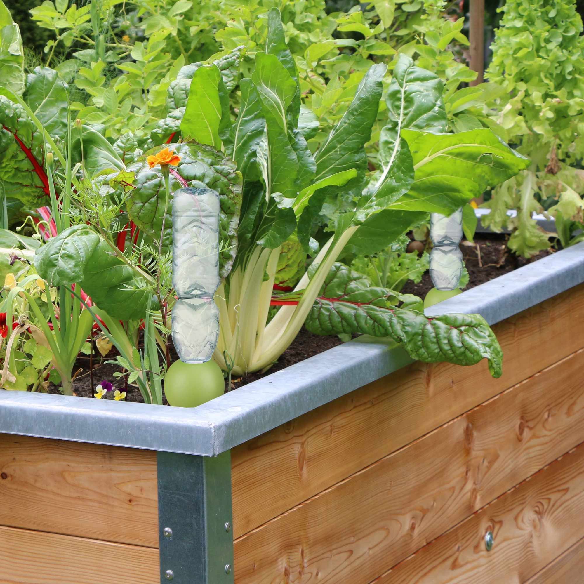 4 globes d'irrigation