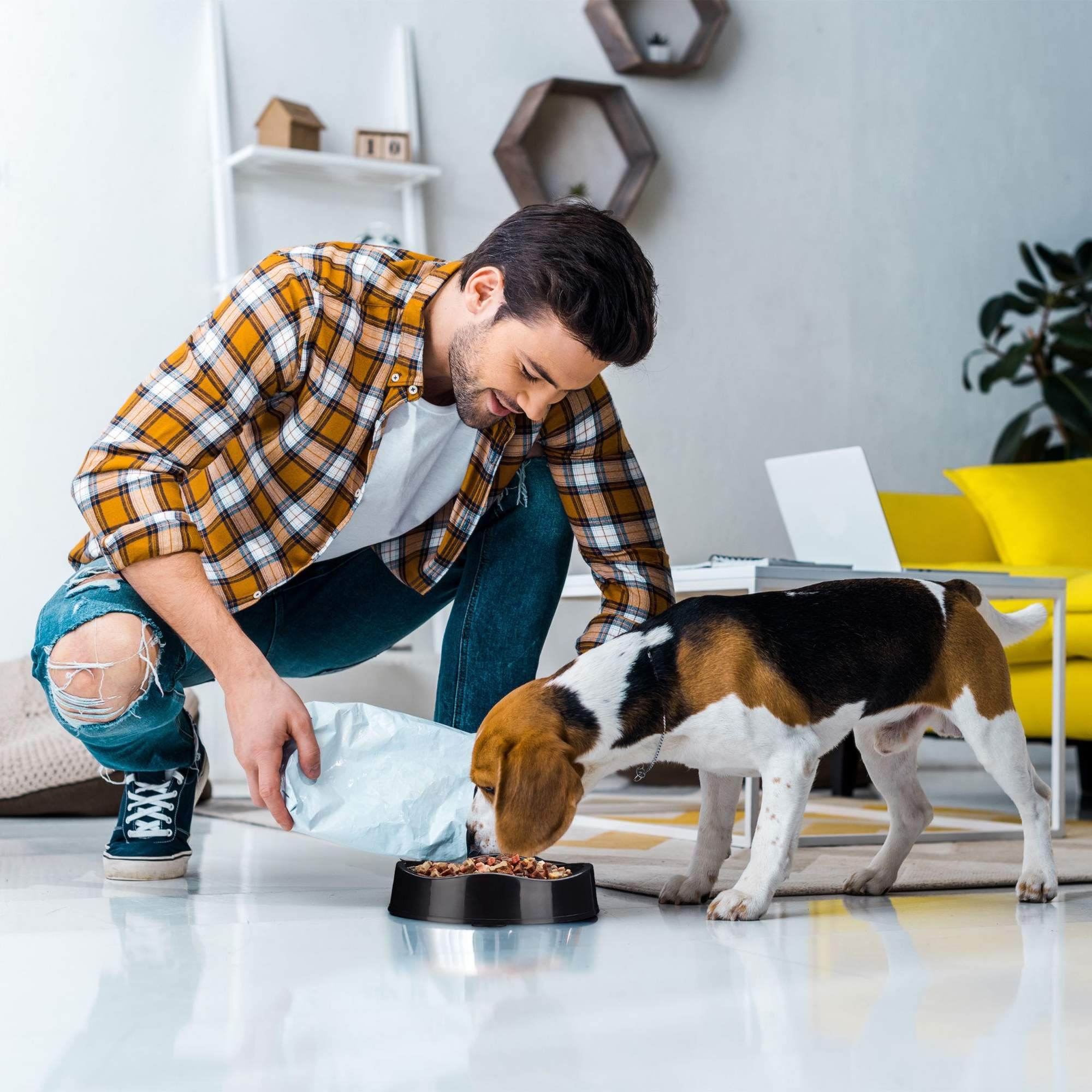Cuenco anti-sling para perros