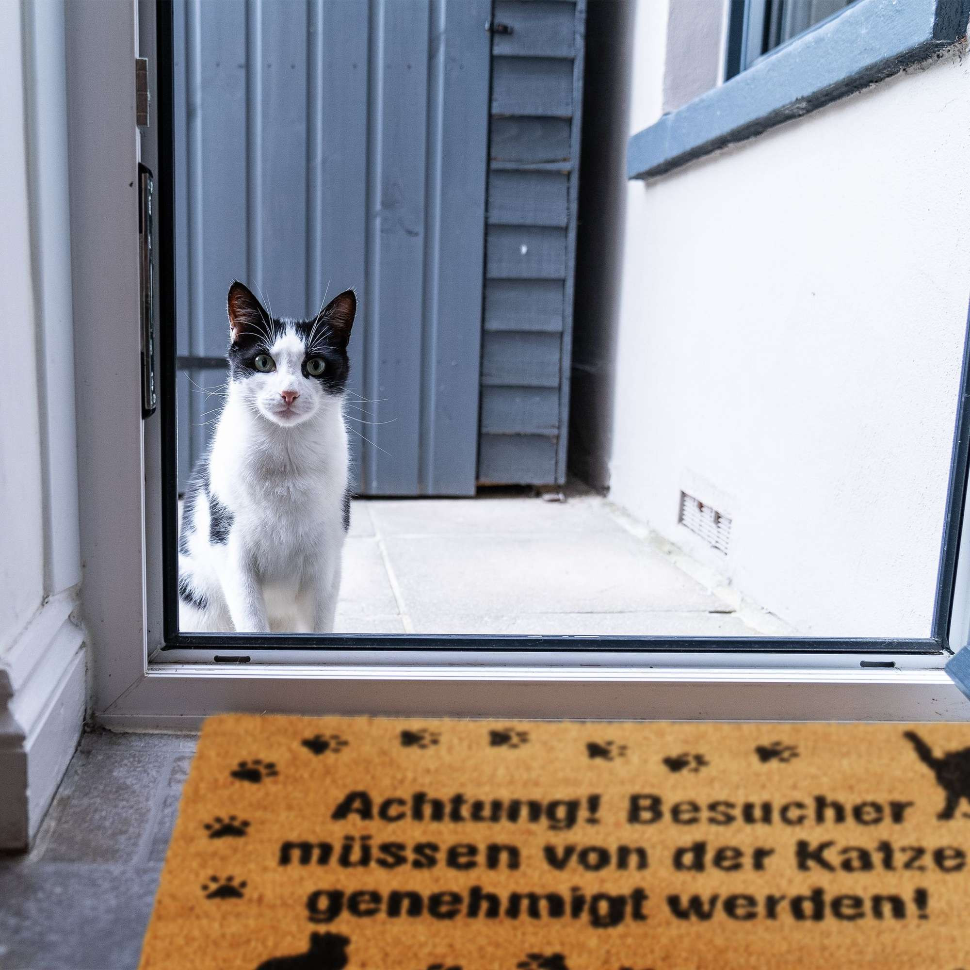 Fußmatte Kokoskatze