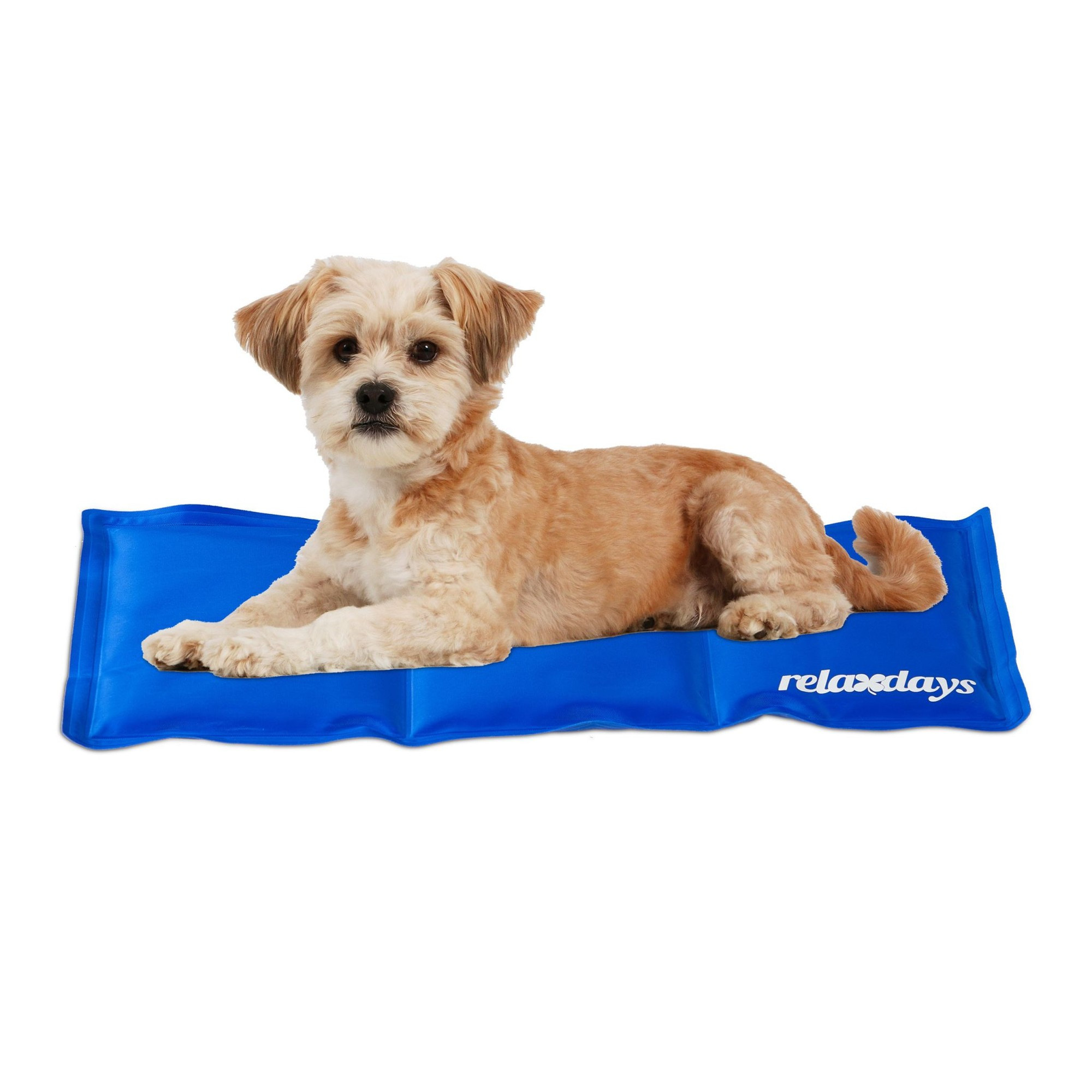 Hundematte blau