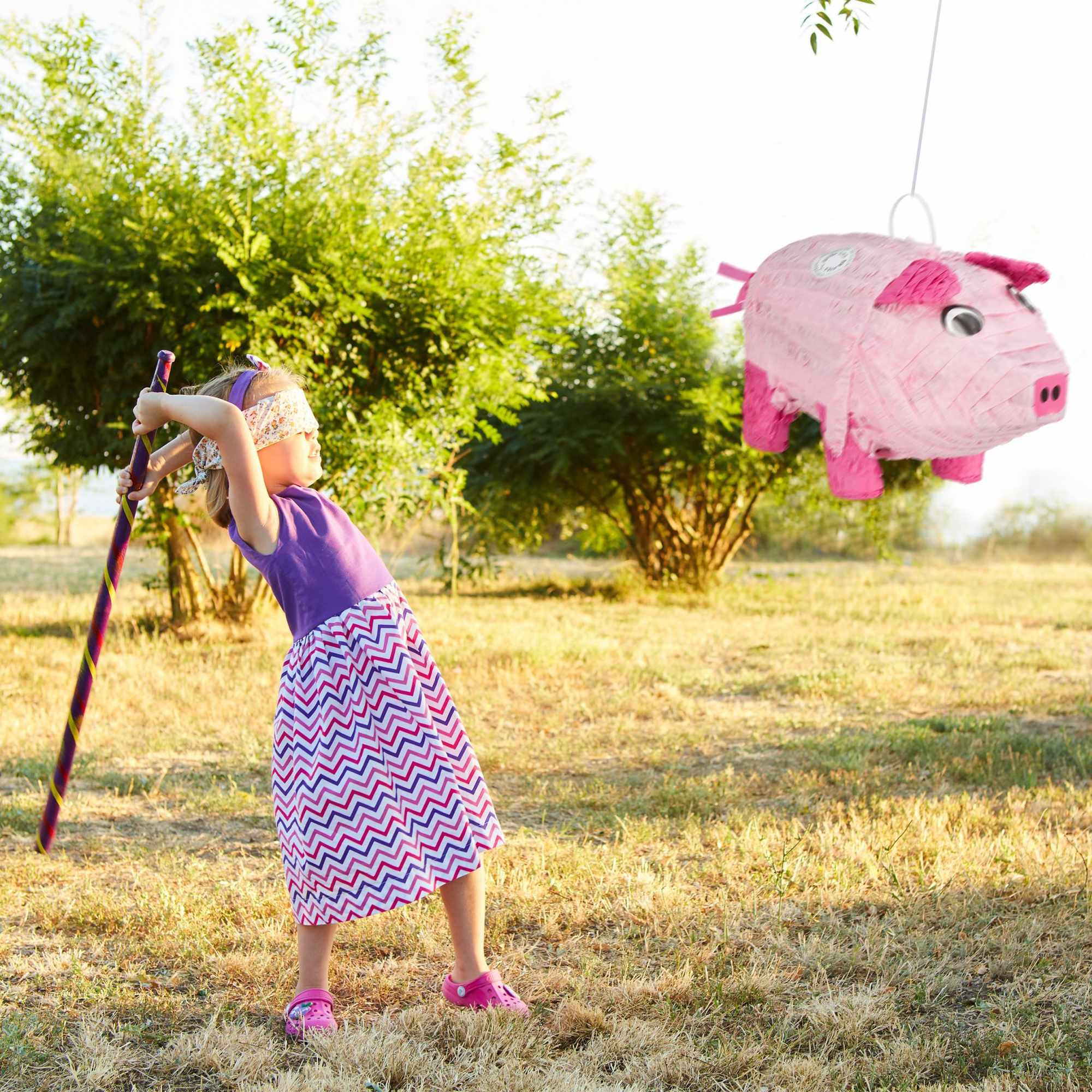 1 pièces. cochon pinator