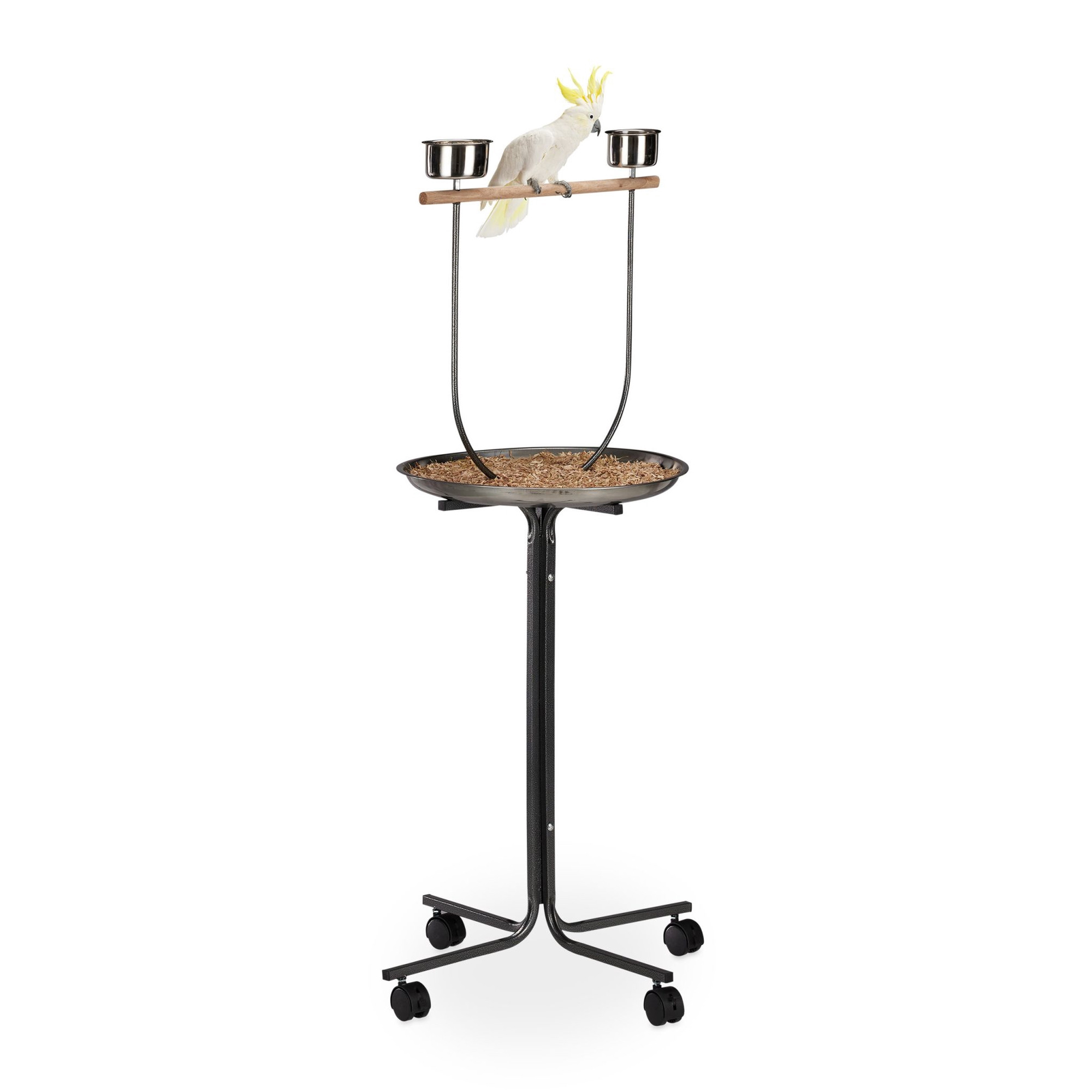 Percha para loros con soporte