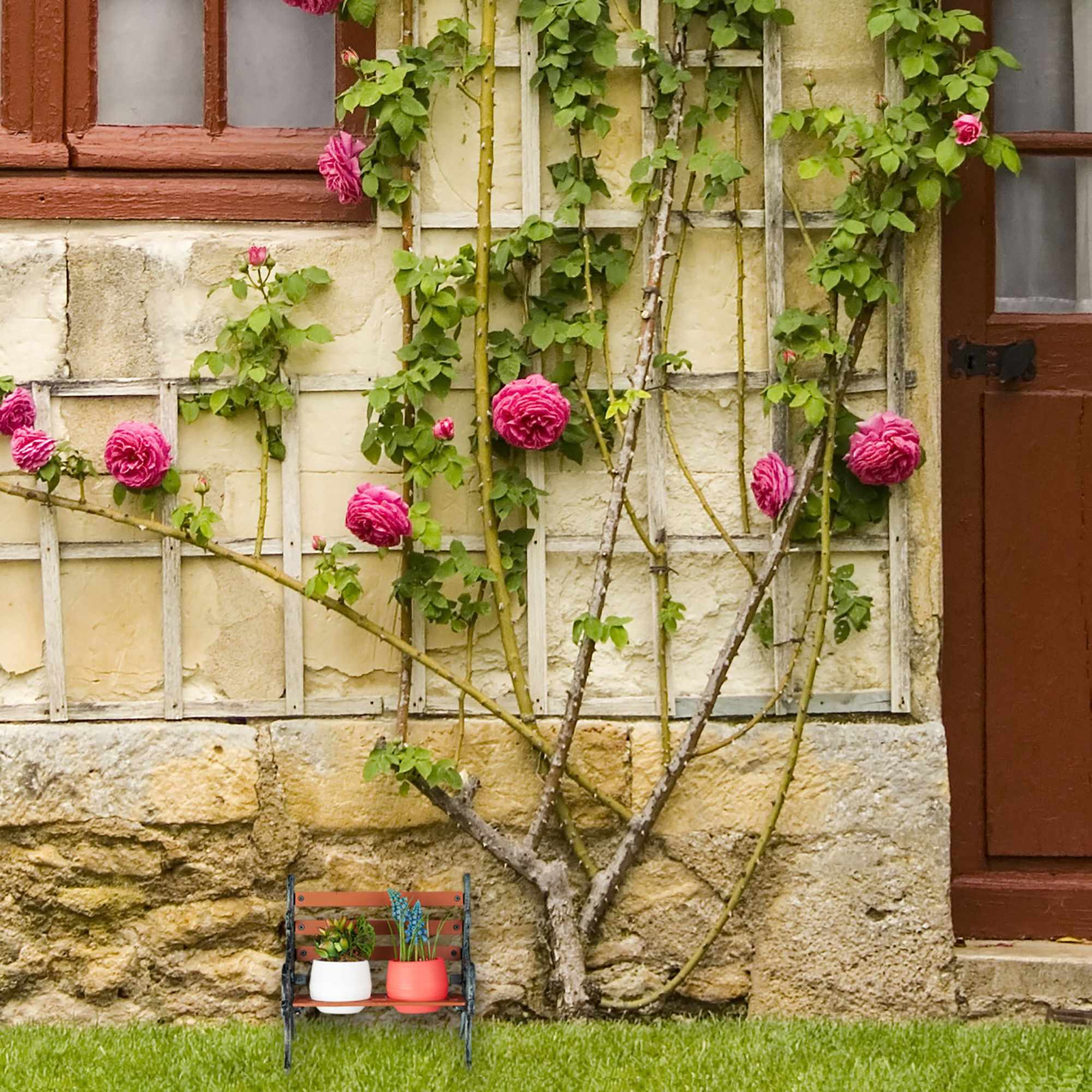 Mini banco de flores