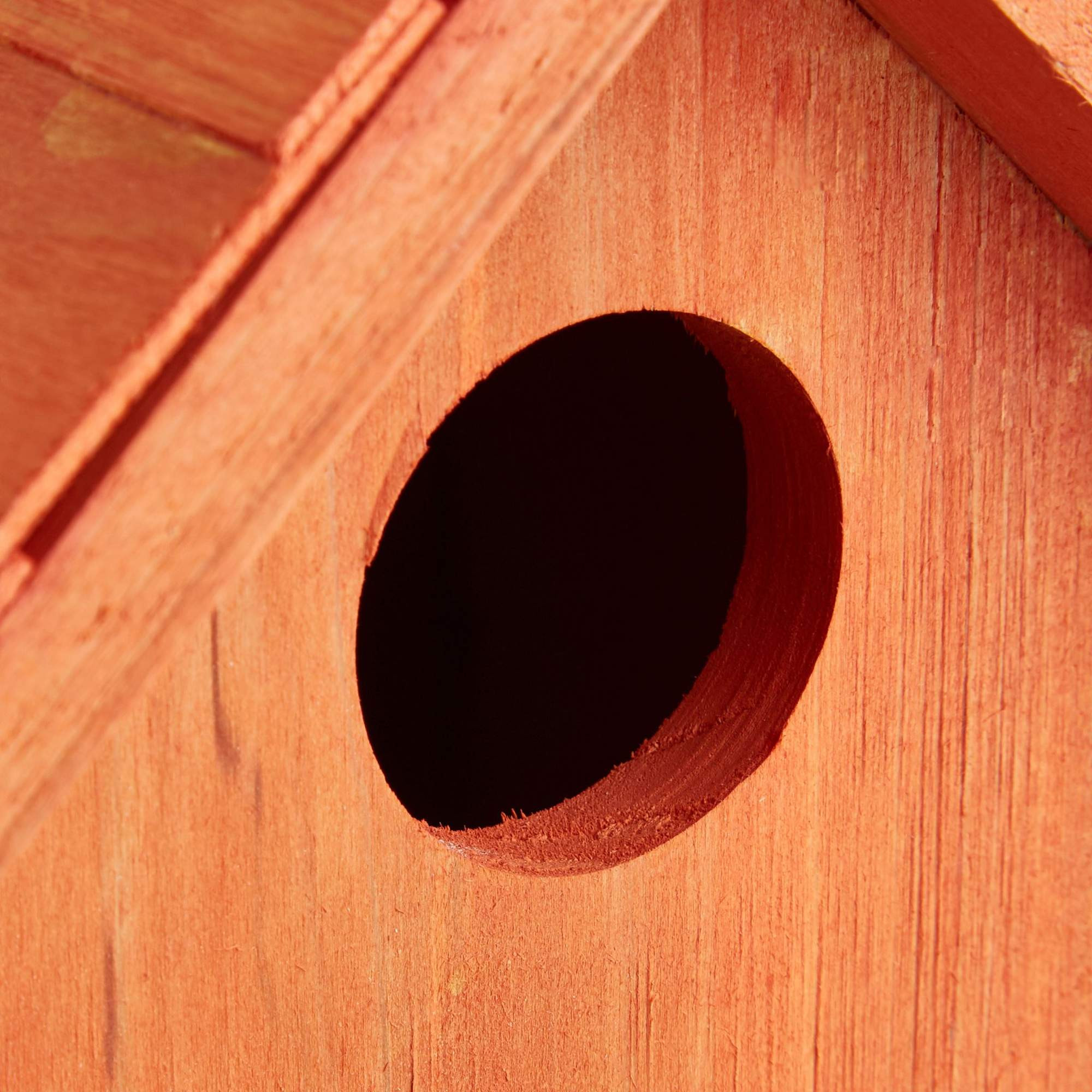 Buntes Vogelhaus