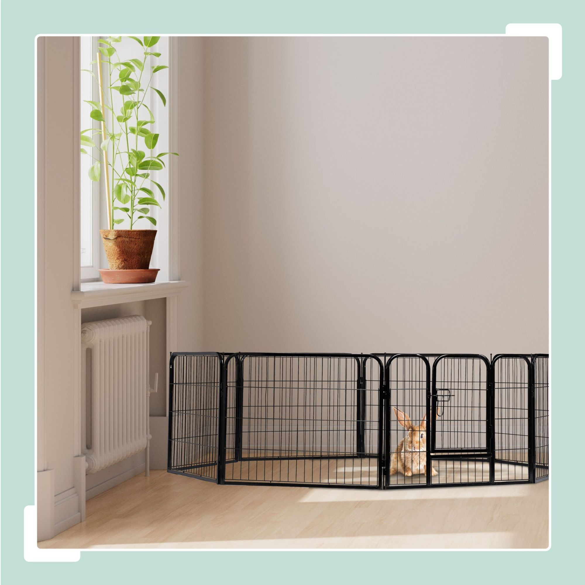 Taille chiot M-XXL