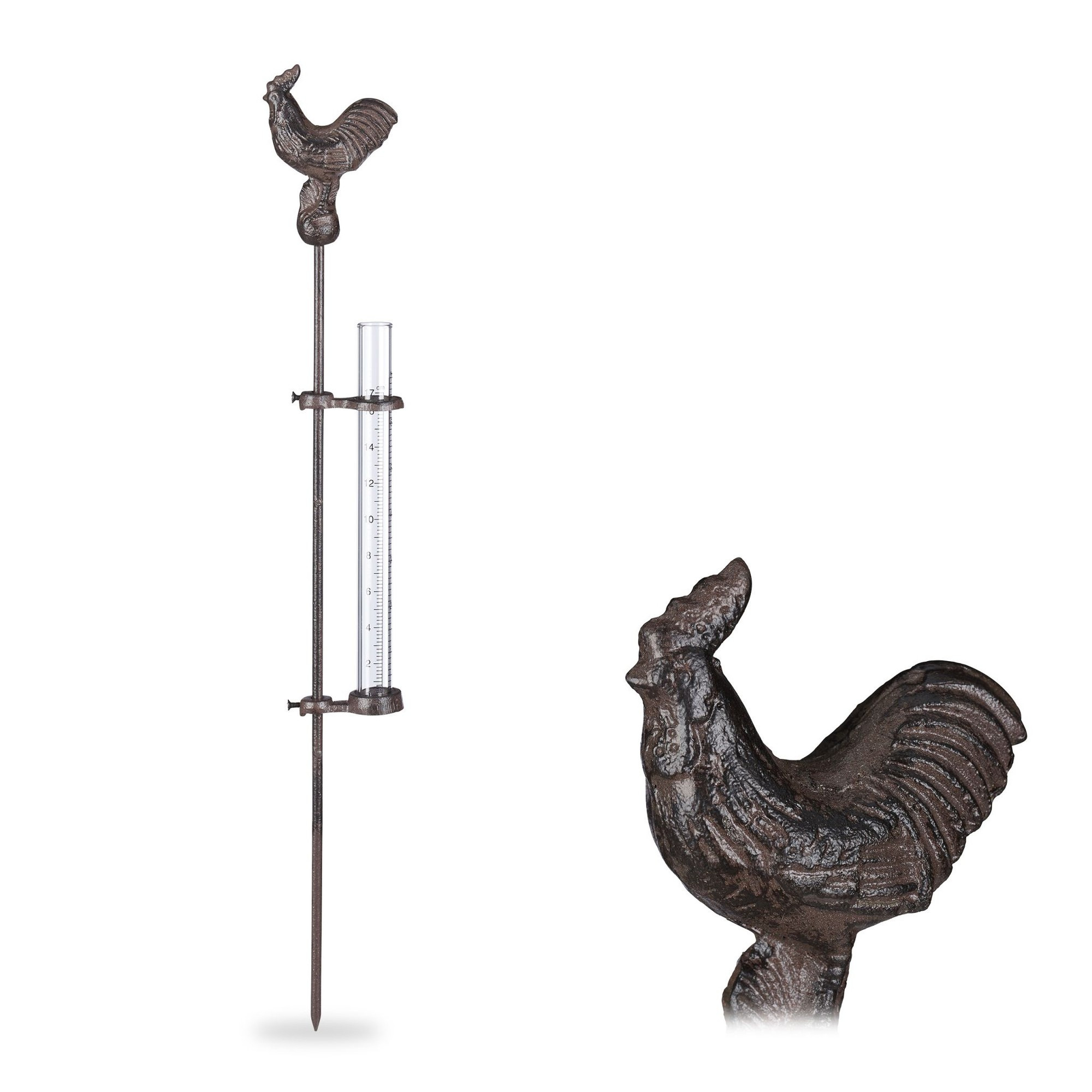 Gallo pluviometro