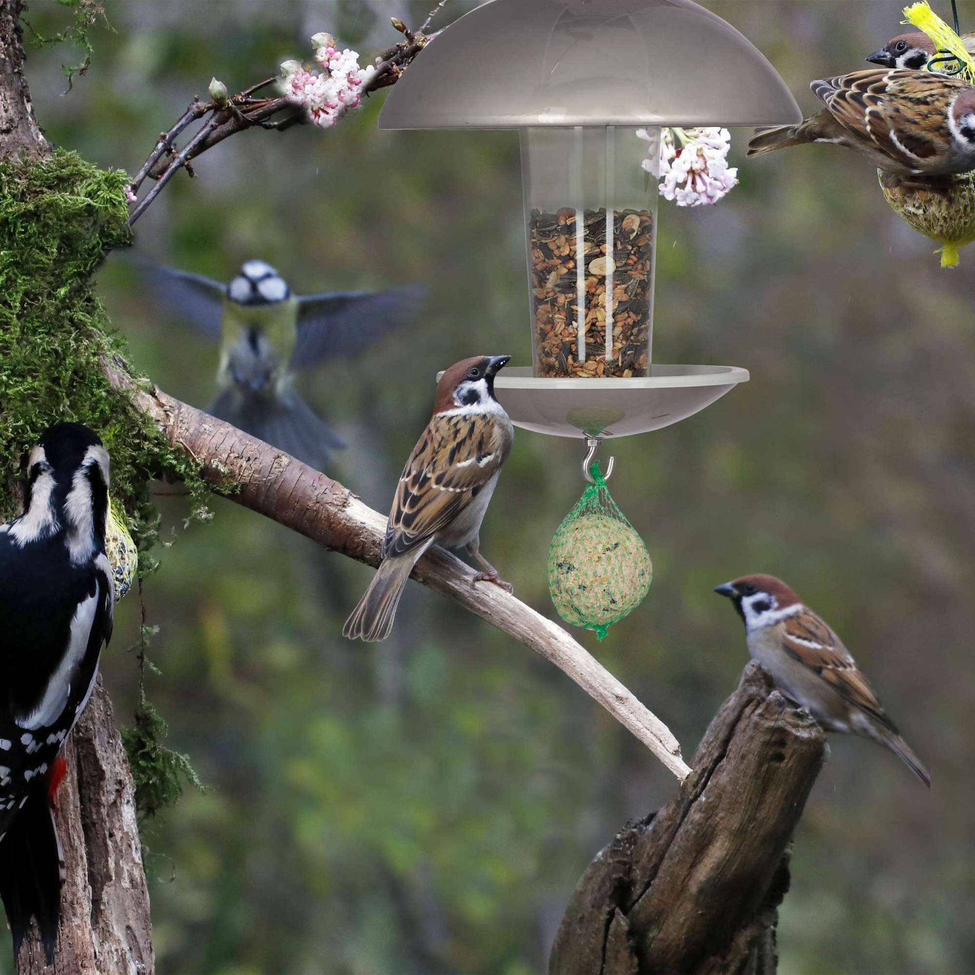 Vogelfutterstation auf einem Stock