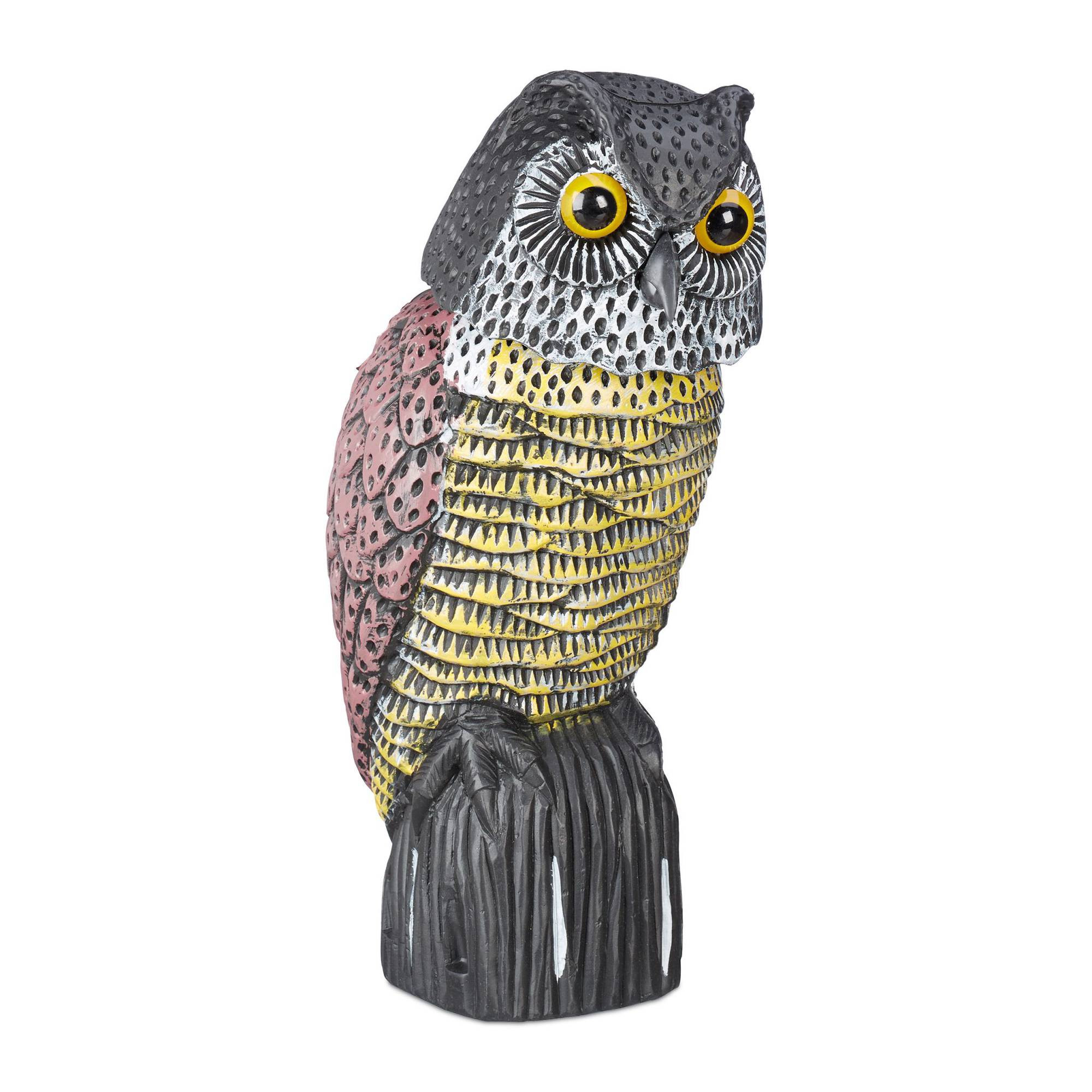 Chouette effaroucheuse d'oiseaux