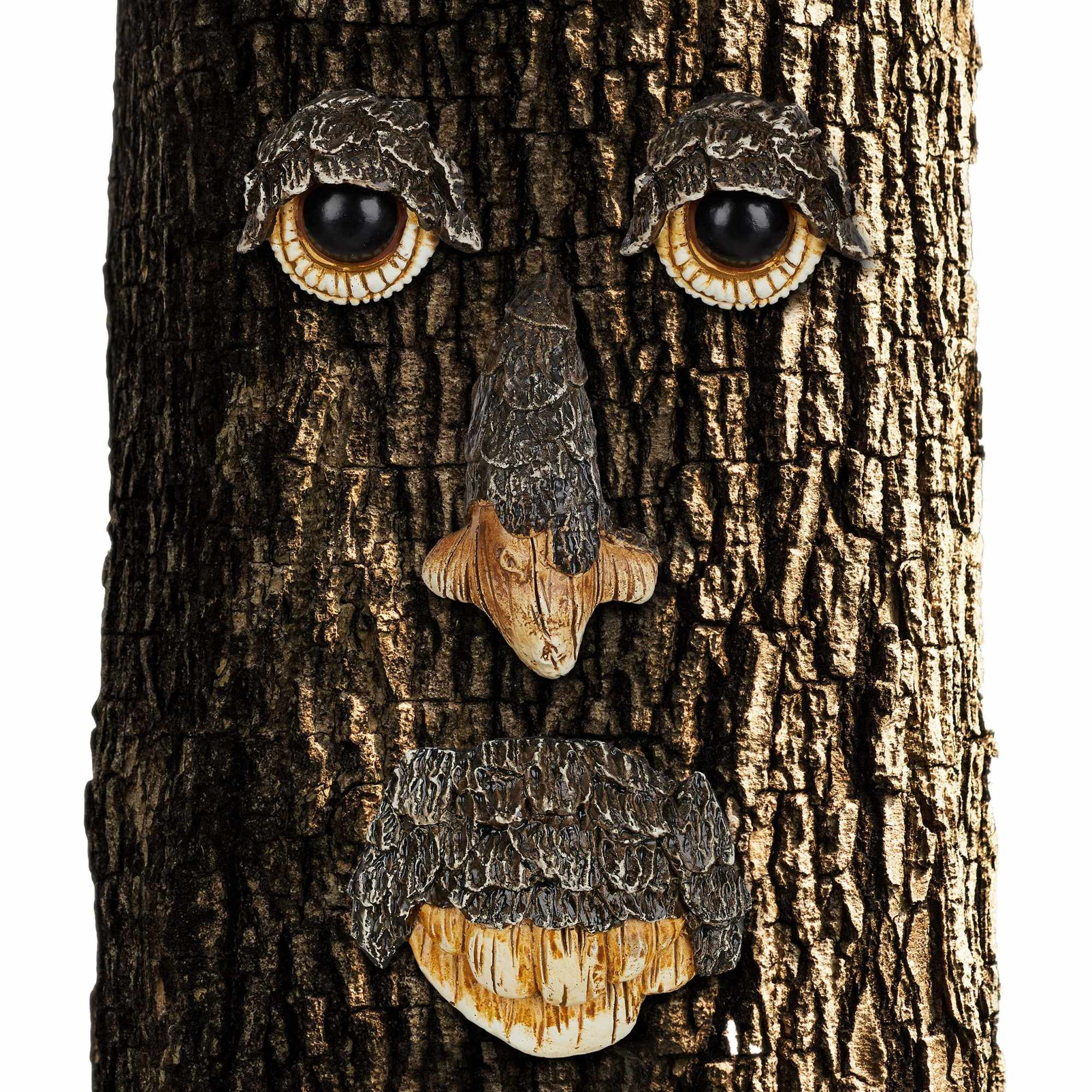 Visage d'arbre Esprit nature