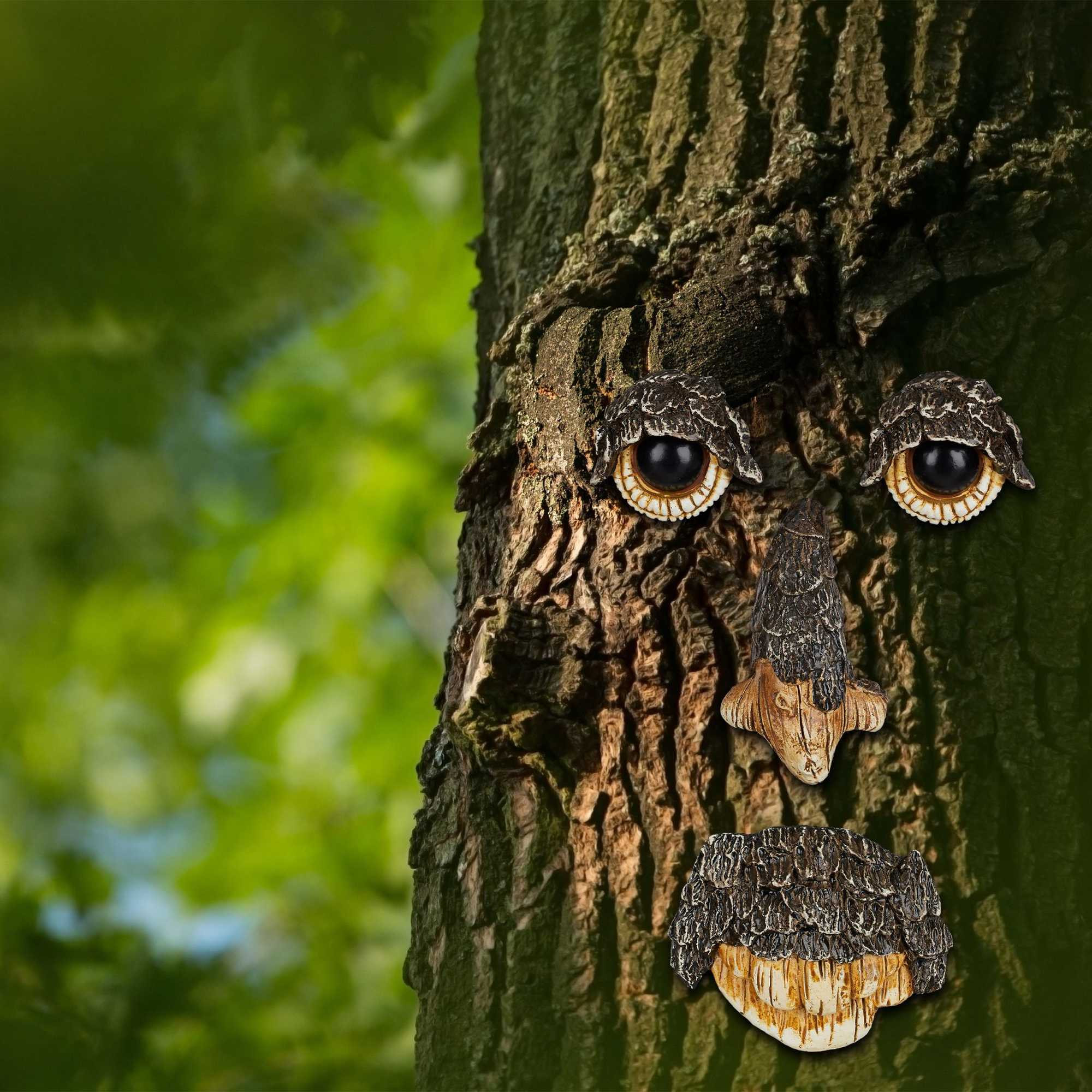Visage d'arbre Esprit nature