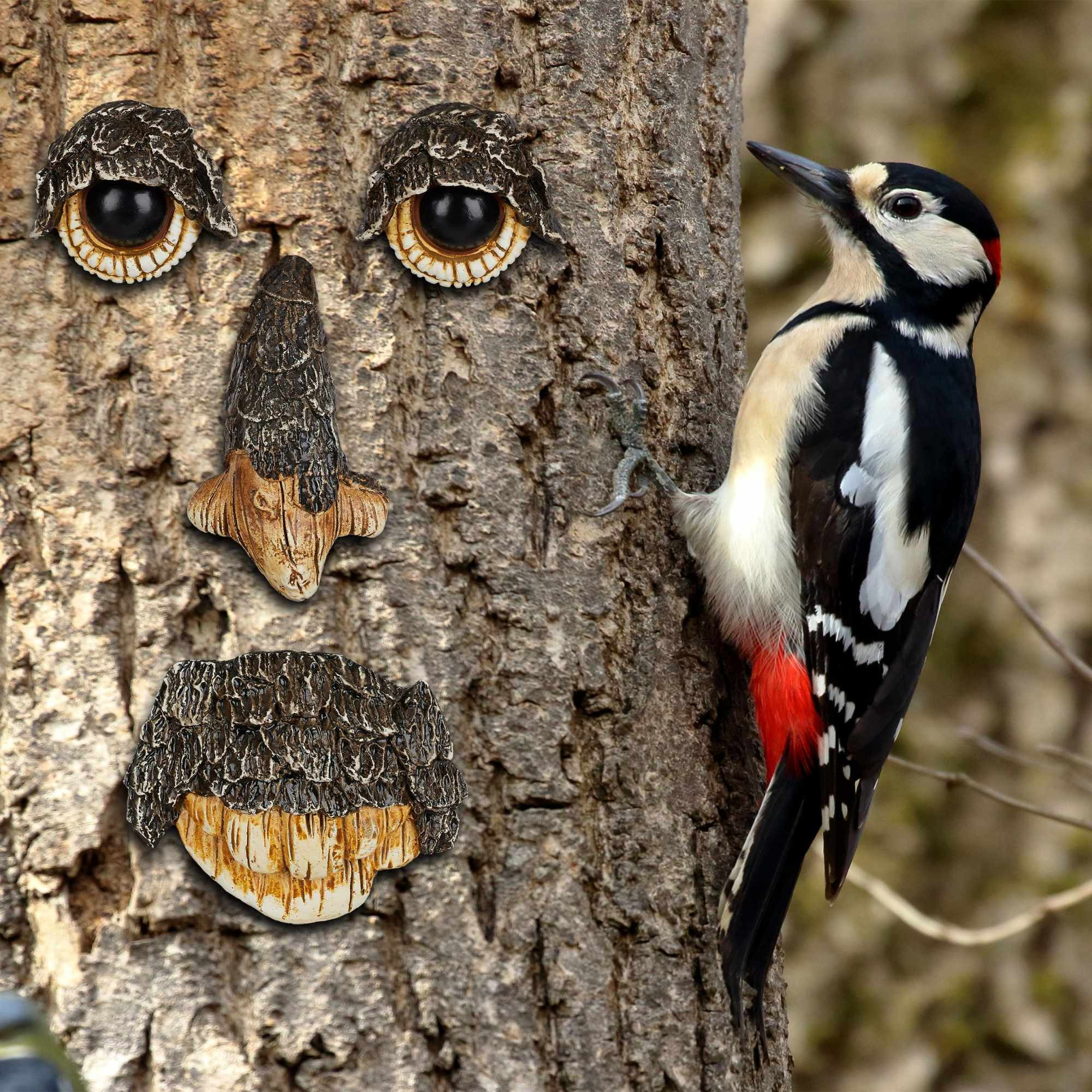 Visage d'arbre Esprit nature