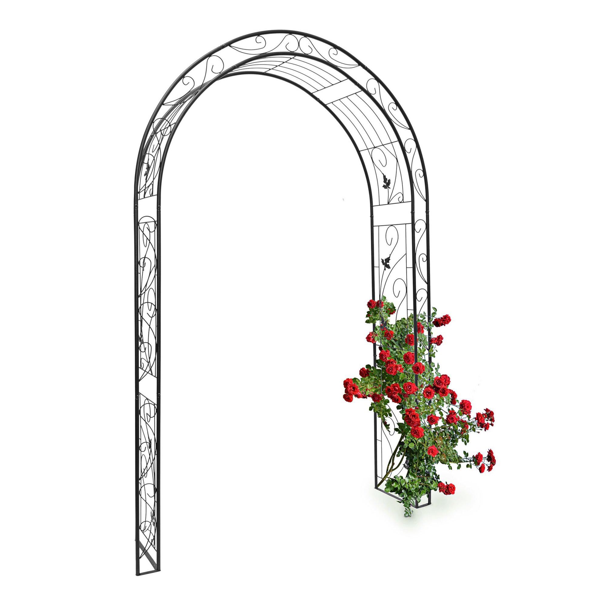 Rosenholzblätter