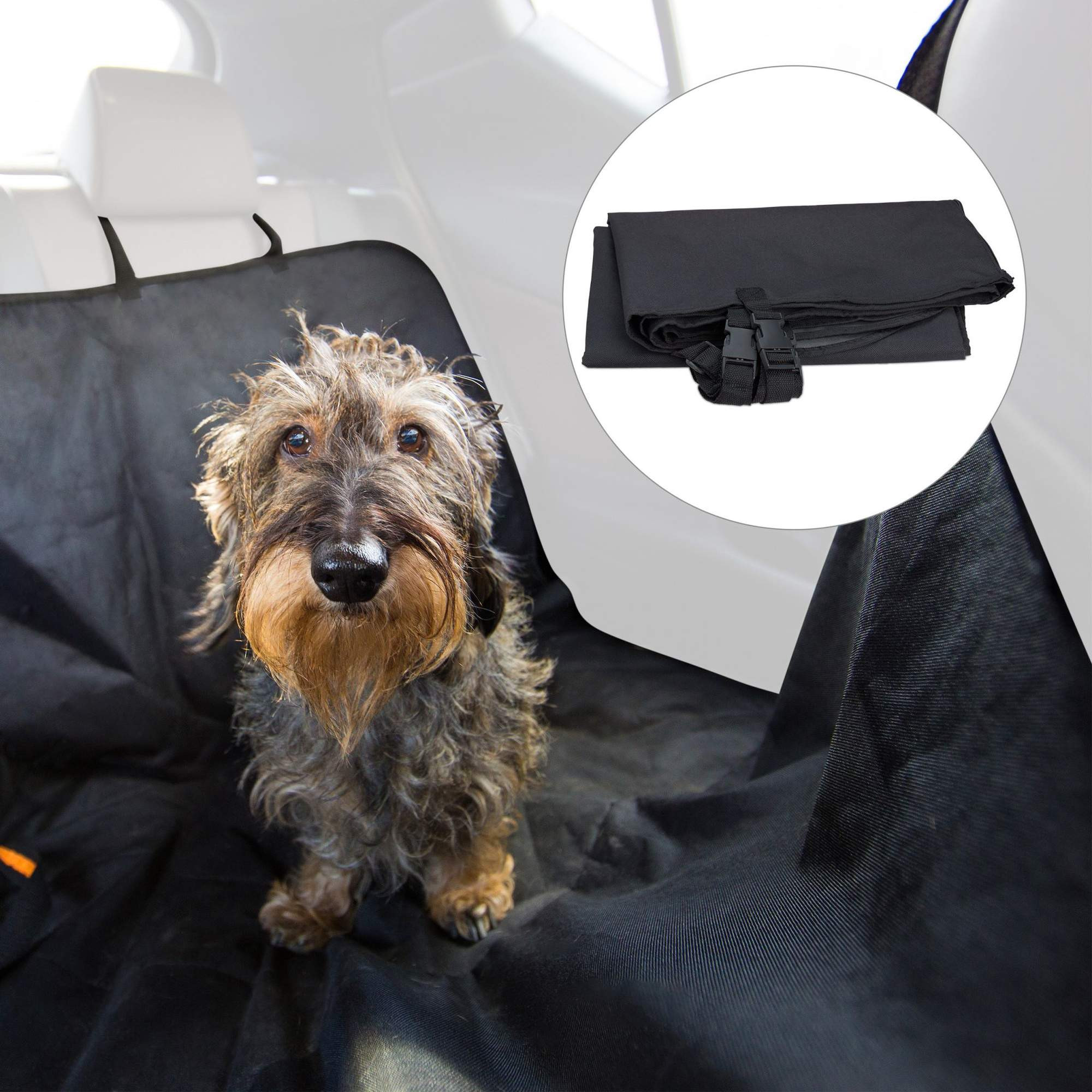 Dog blanket car