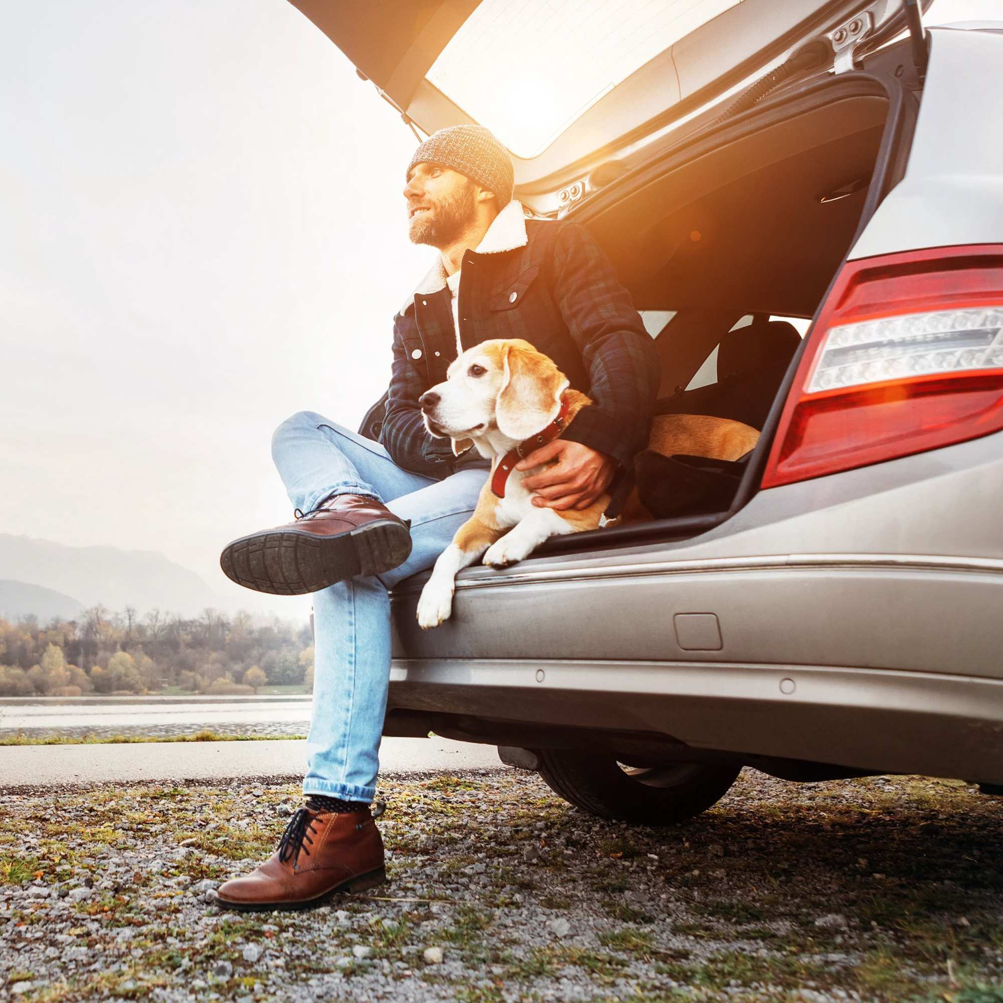 Hundedecke Auto
