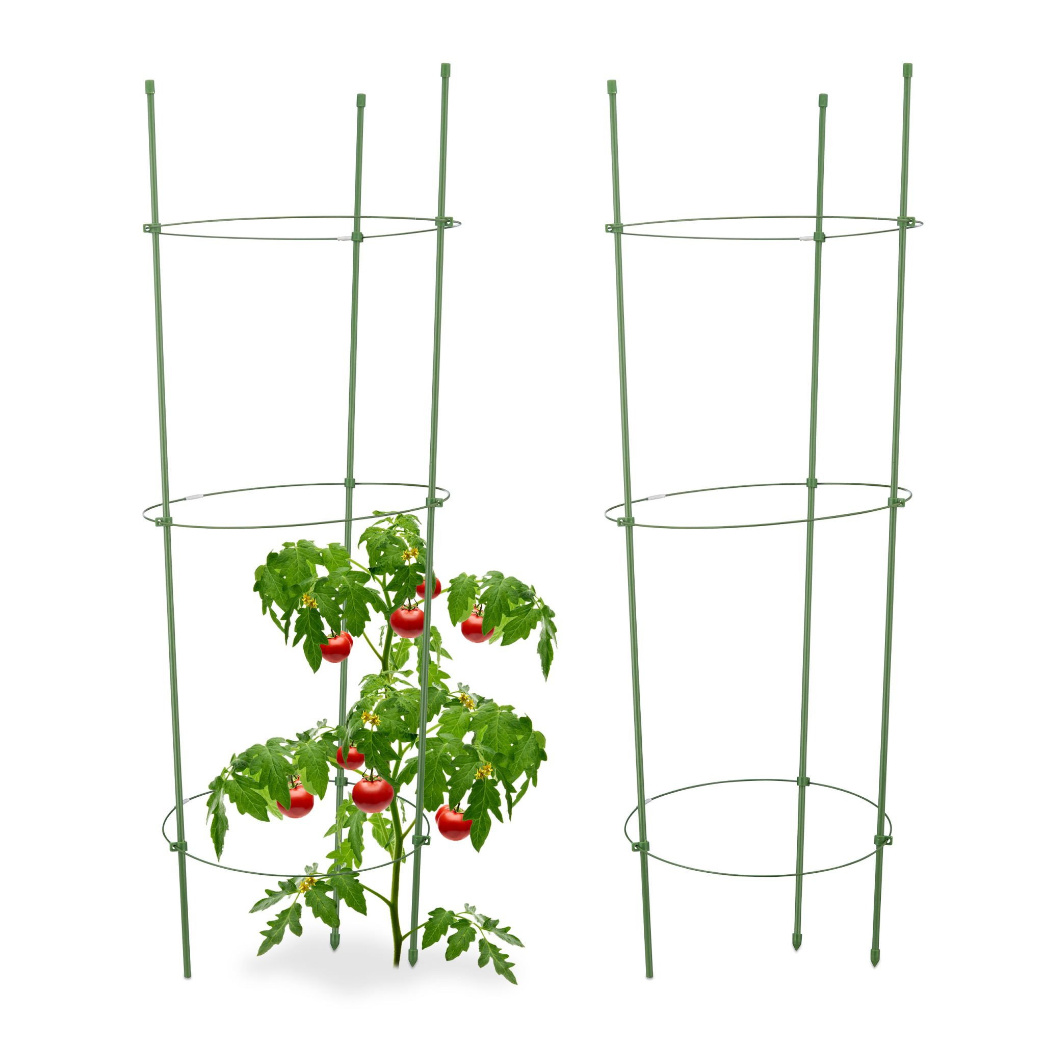 Tomaten Klimhulp Set van 2