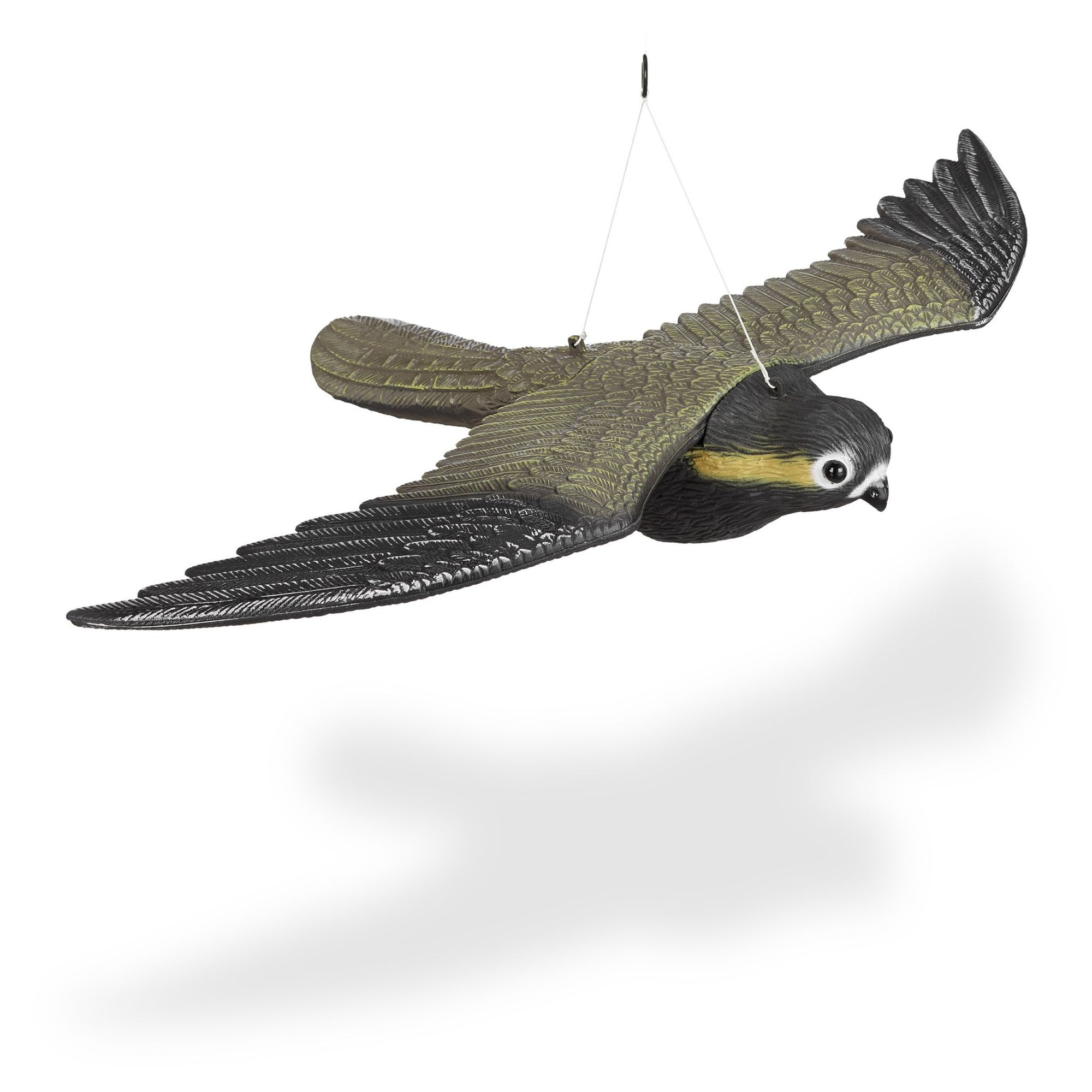 Dummy van een roofvogelvalk