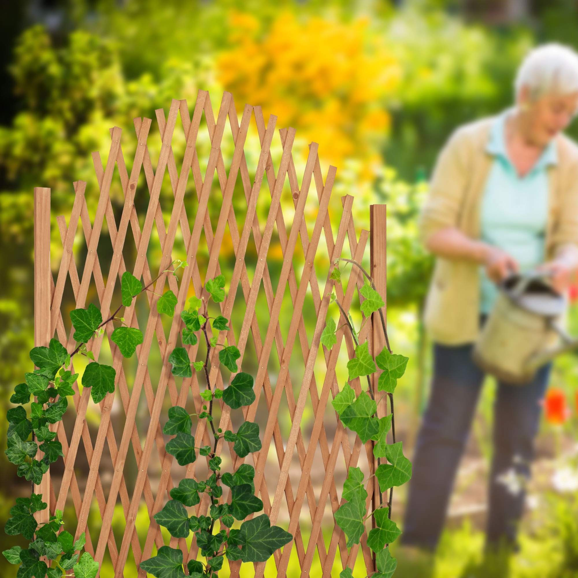 Support d'escalade extensible en bois