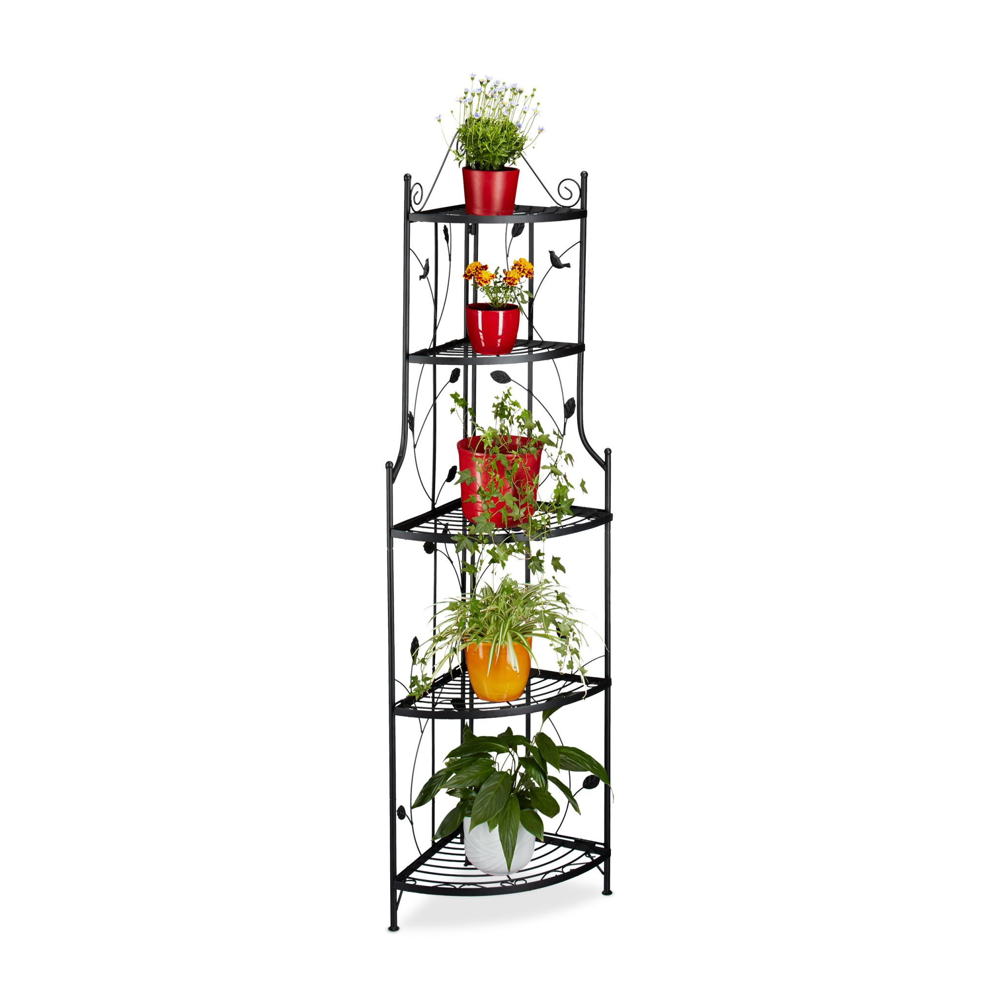 Angolo scale vegetali GOTH