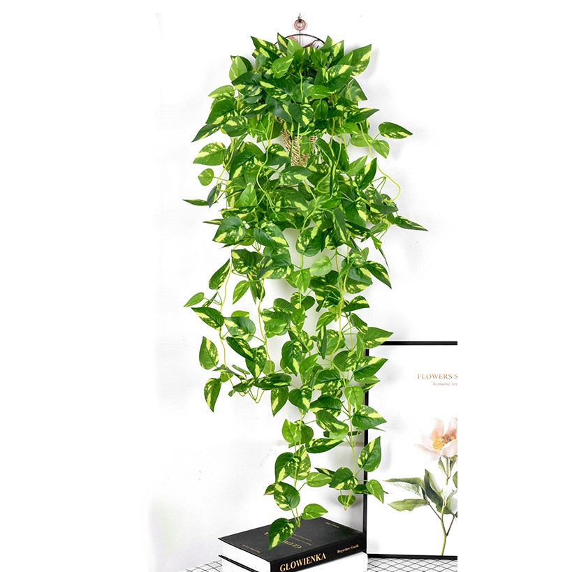 Nine fork wall hanging evergreen