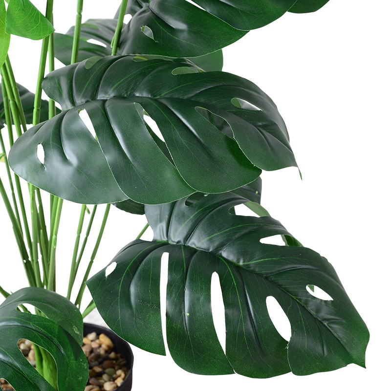 Turtle back leaves simulate green plants-36cm