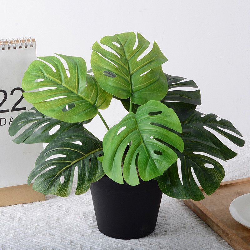 Turtle back leaves simulate green plants-36cm