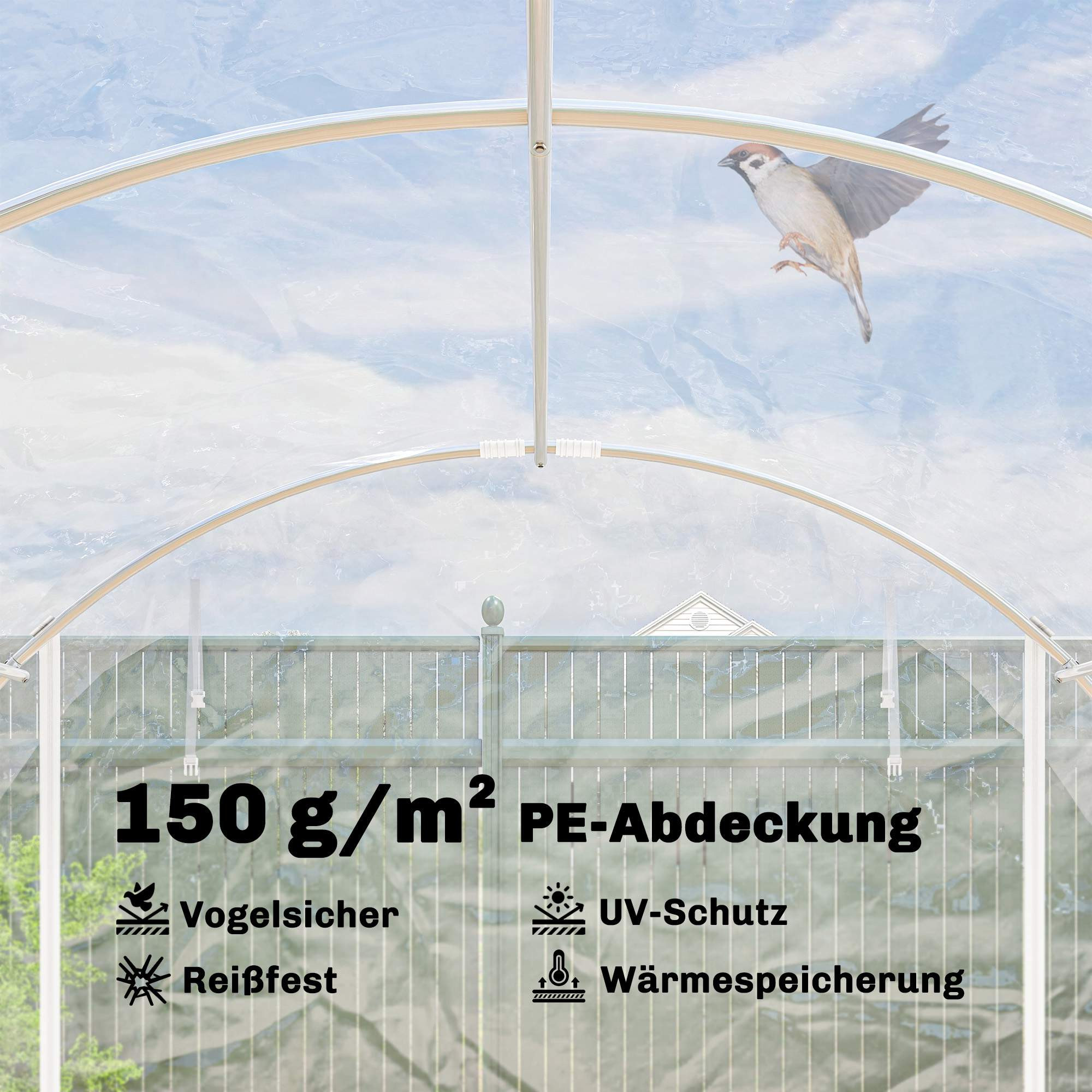 Inloopbare polytunnelkas, stalen frame, UV-bestendige PE-afdekking
