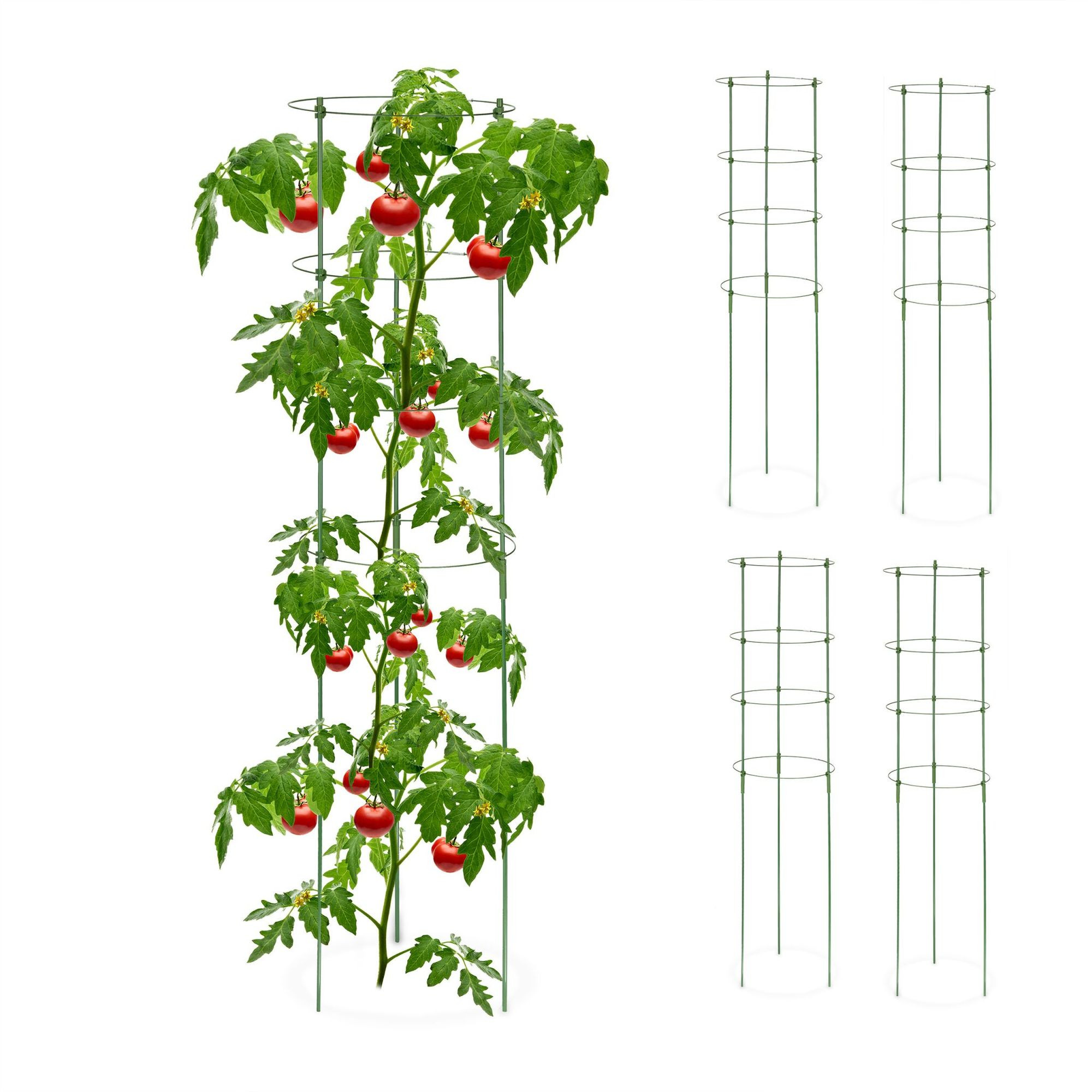 Trellis 120 cm sada 5 ks