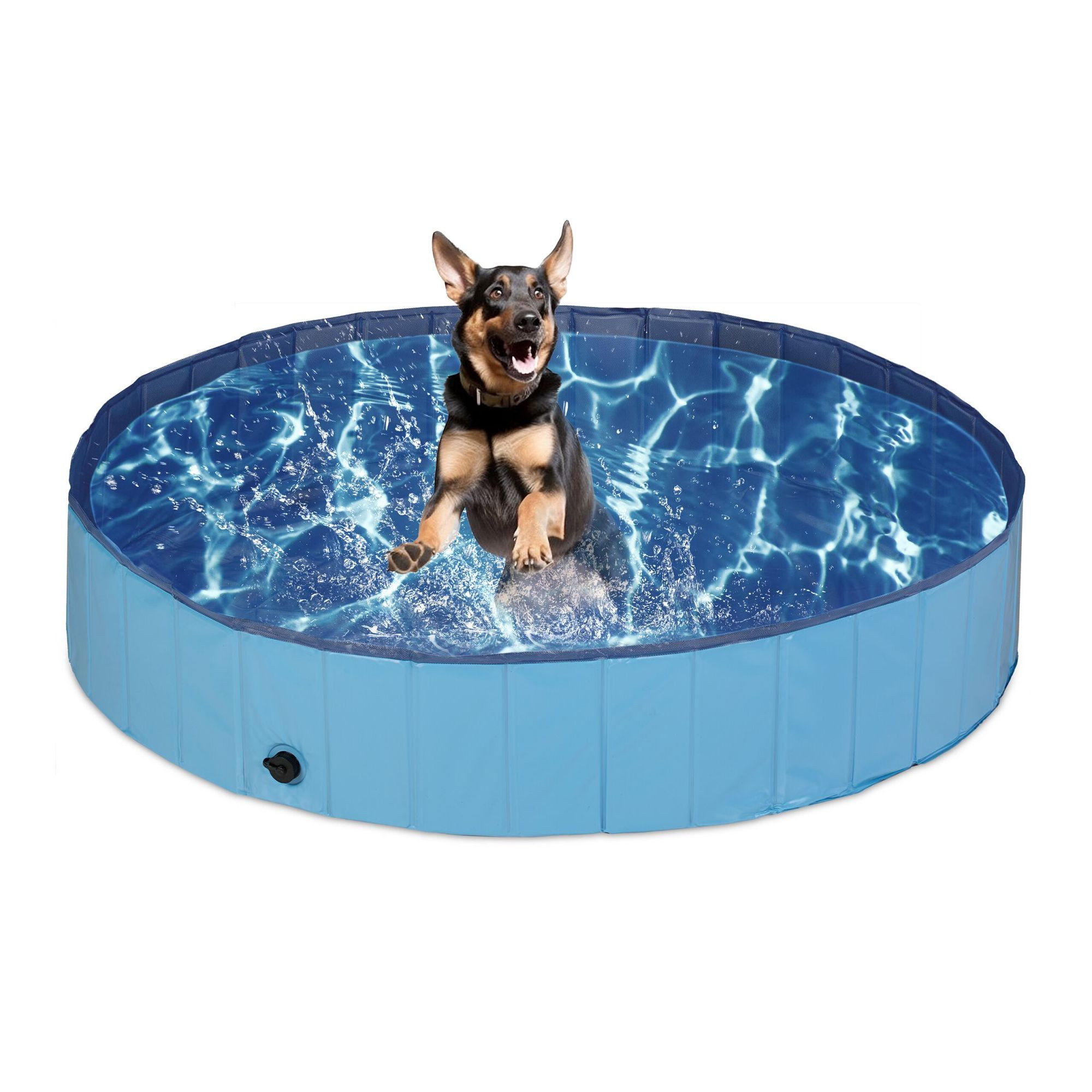 Piscina per cani blu
