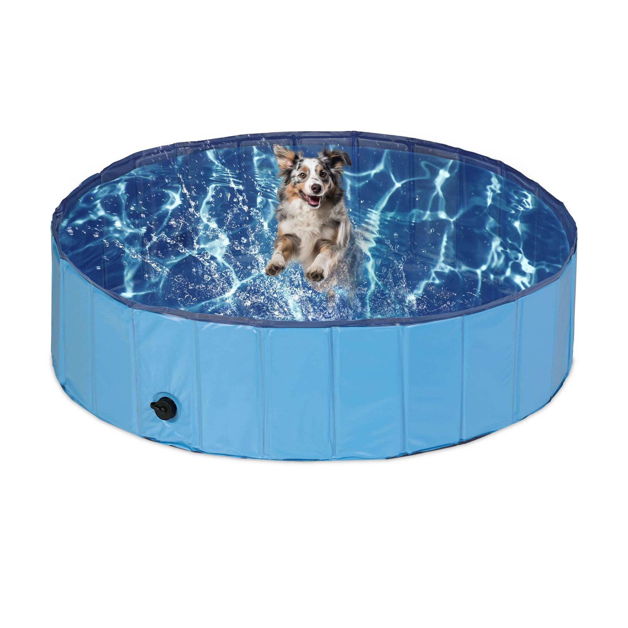 Piscina per cani blu