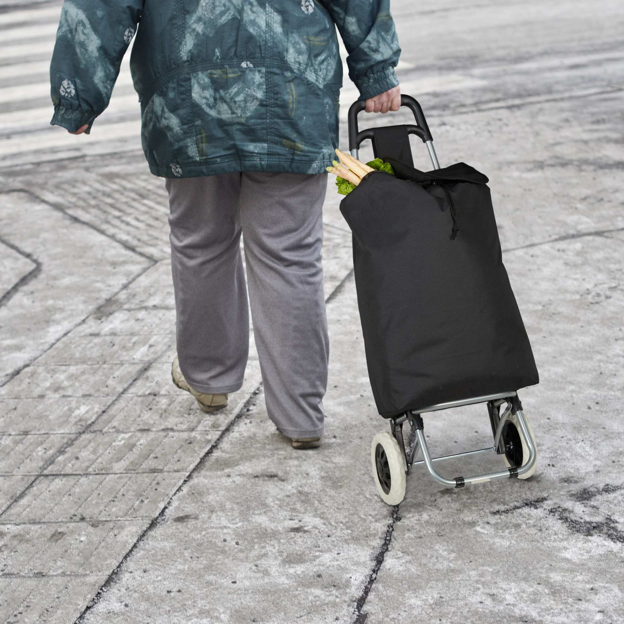 Chariot de courses pliable