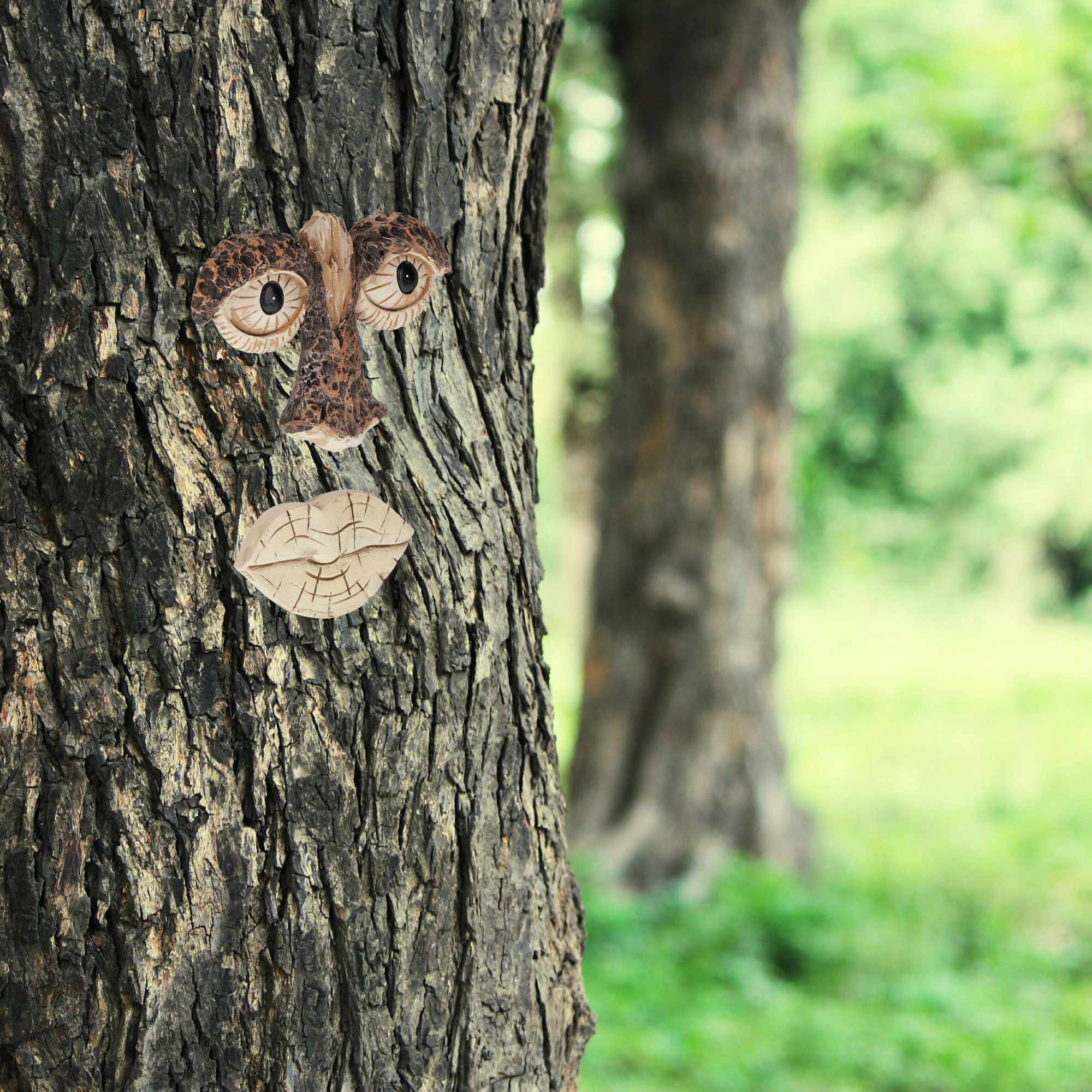 Surface d'arbre en 2 parties