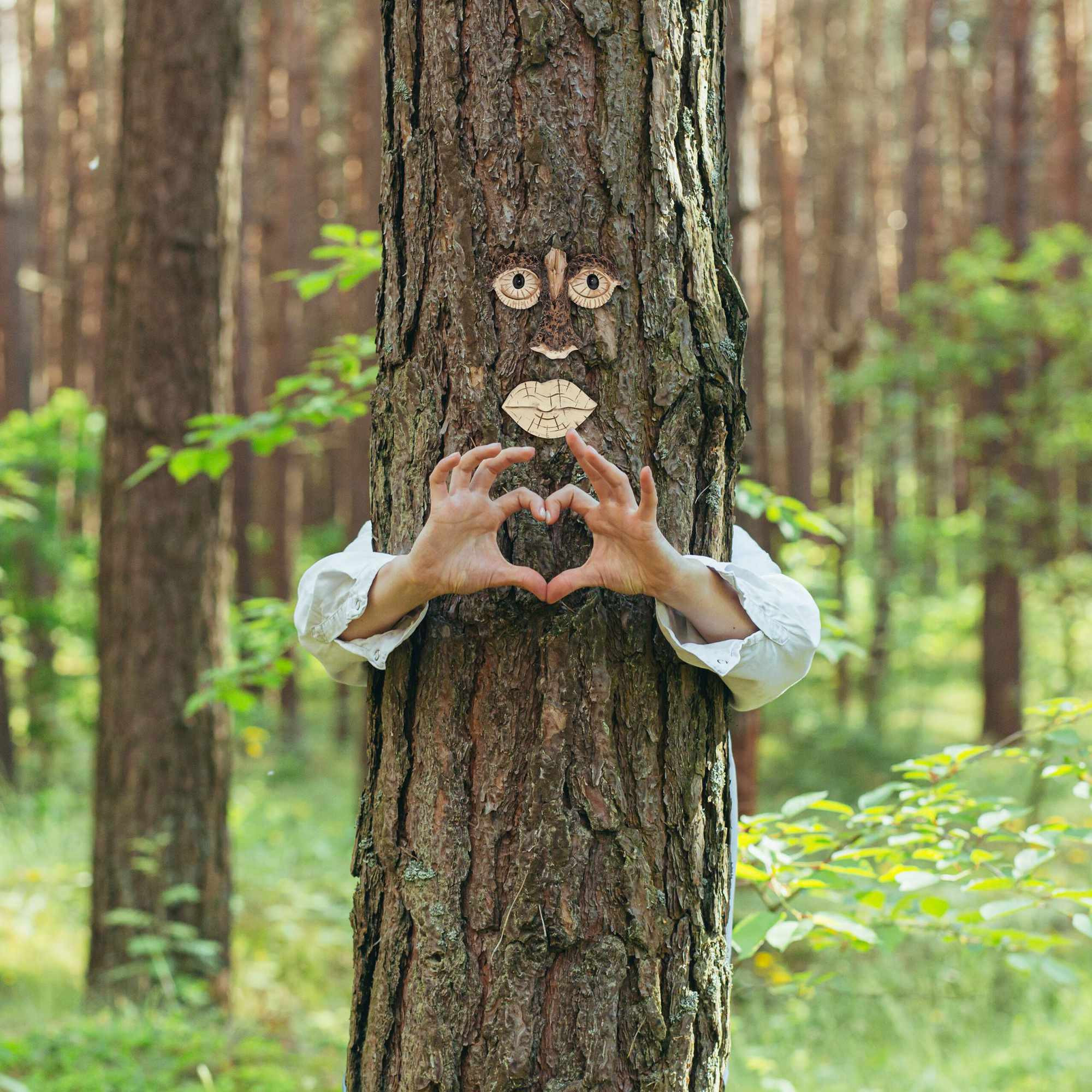 Surface d'arbre en 2 parties