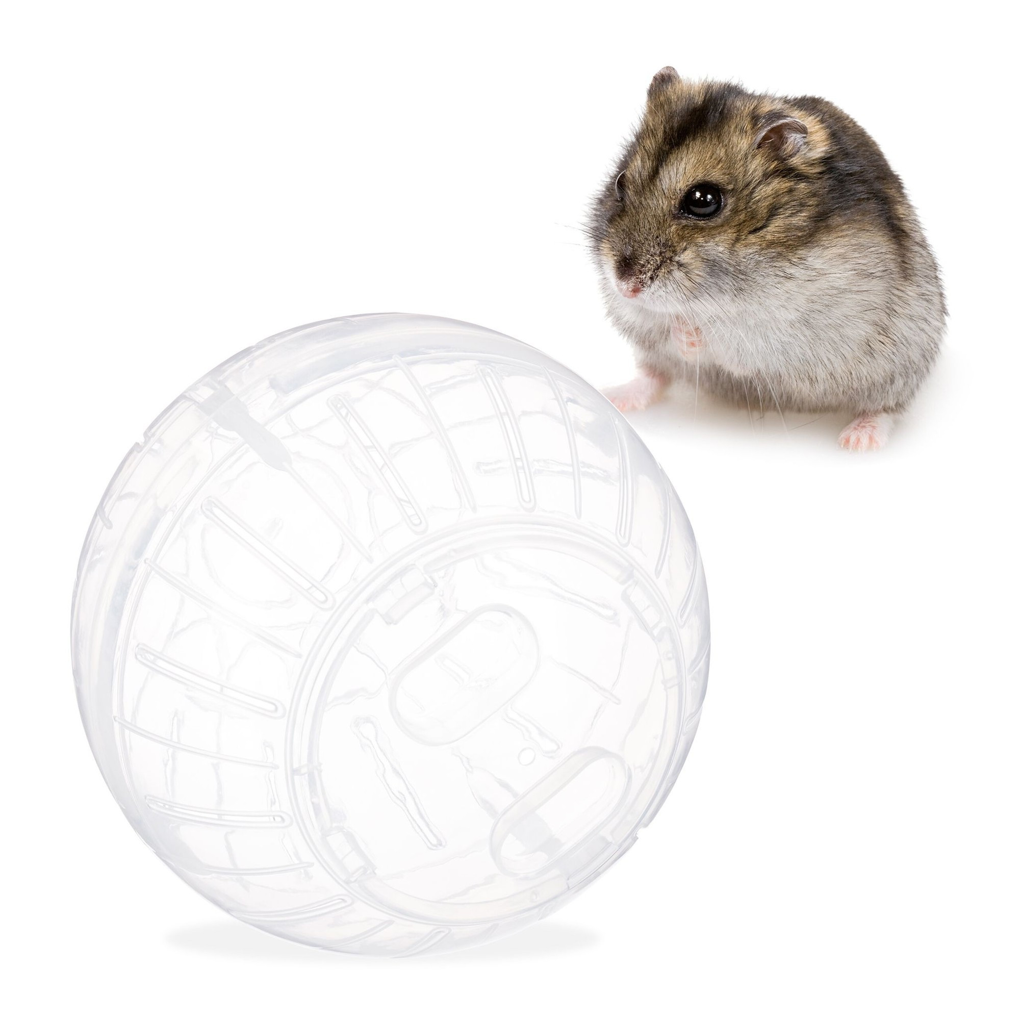Boule de hamster transparente