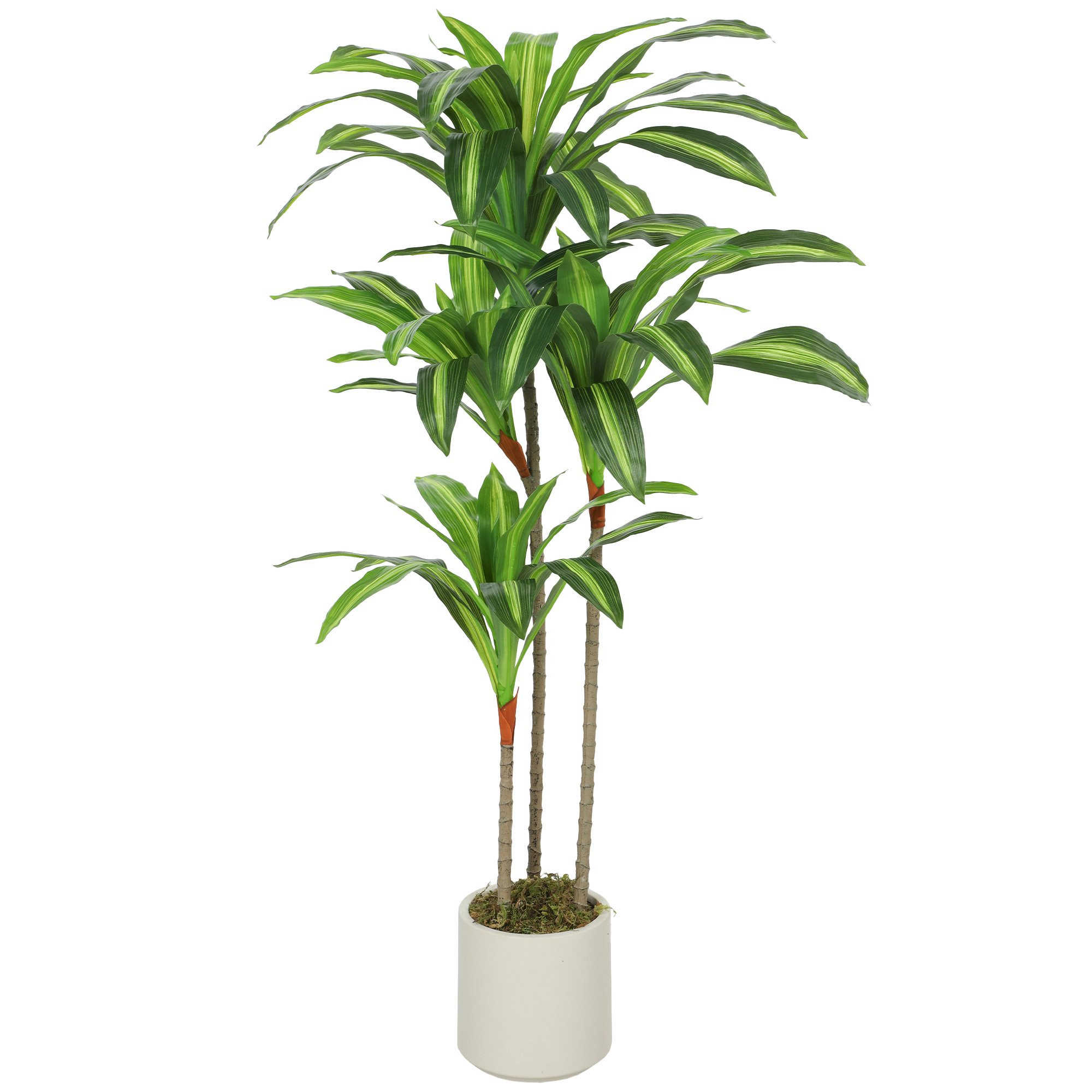 Artificial Dracaena Tree 120 cm, Flexible Trunks, White Pot