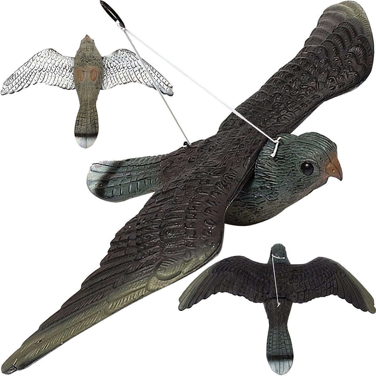 Repest anti-oiseaux