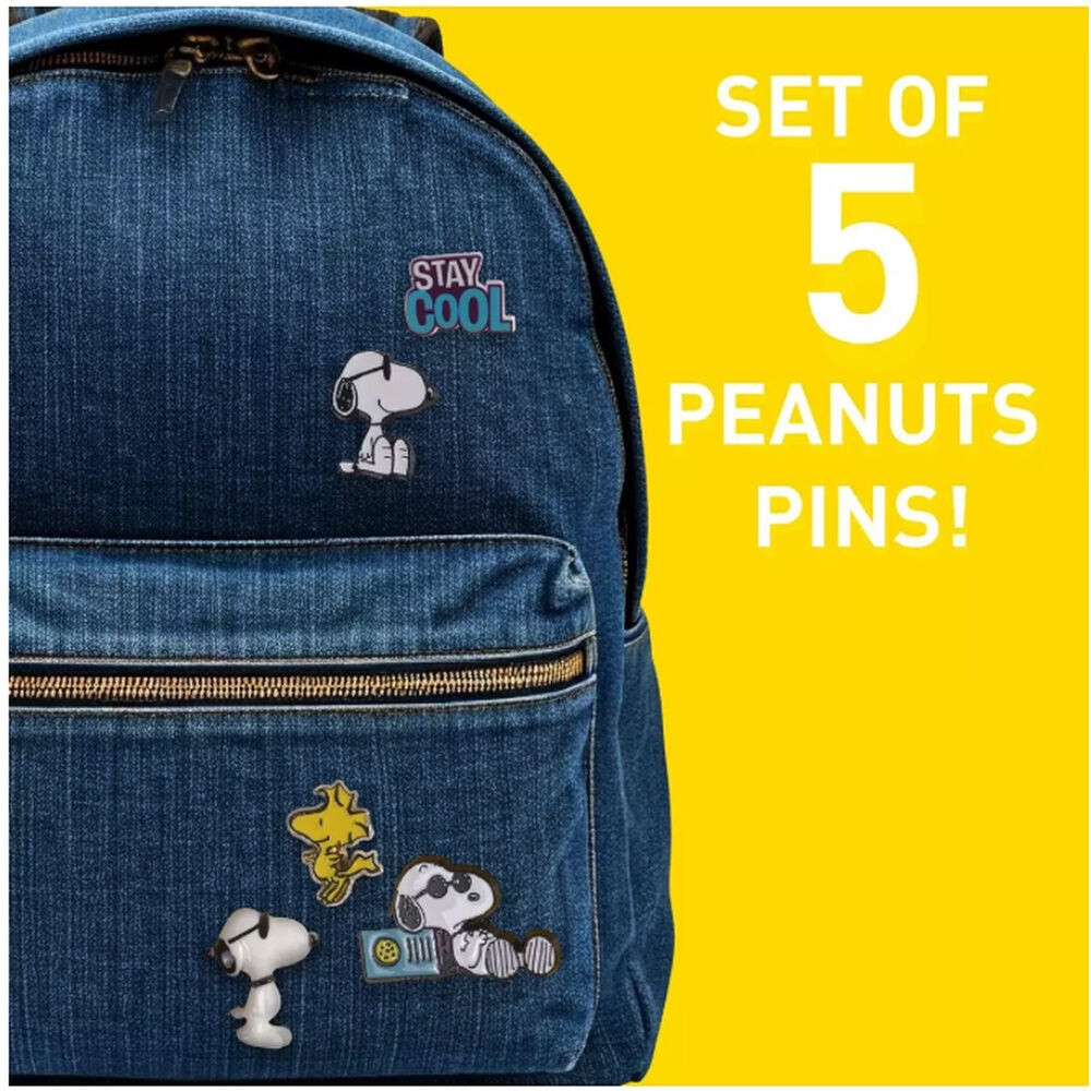 Ensemble de 5 broches Snoopy Peanuts