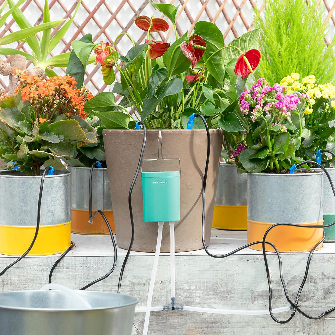 Automatic Drip Irrigation System for 8 Potted Plants