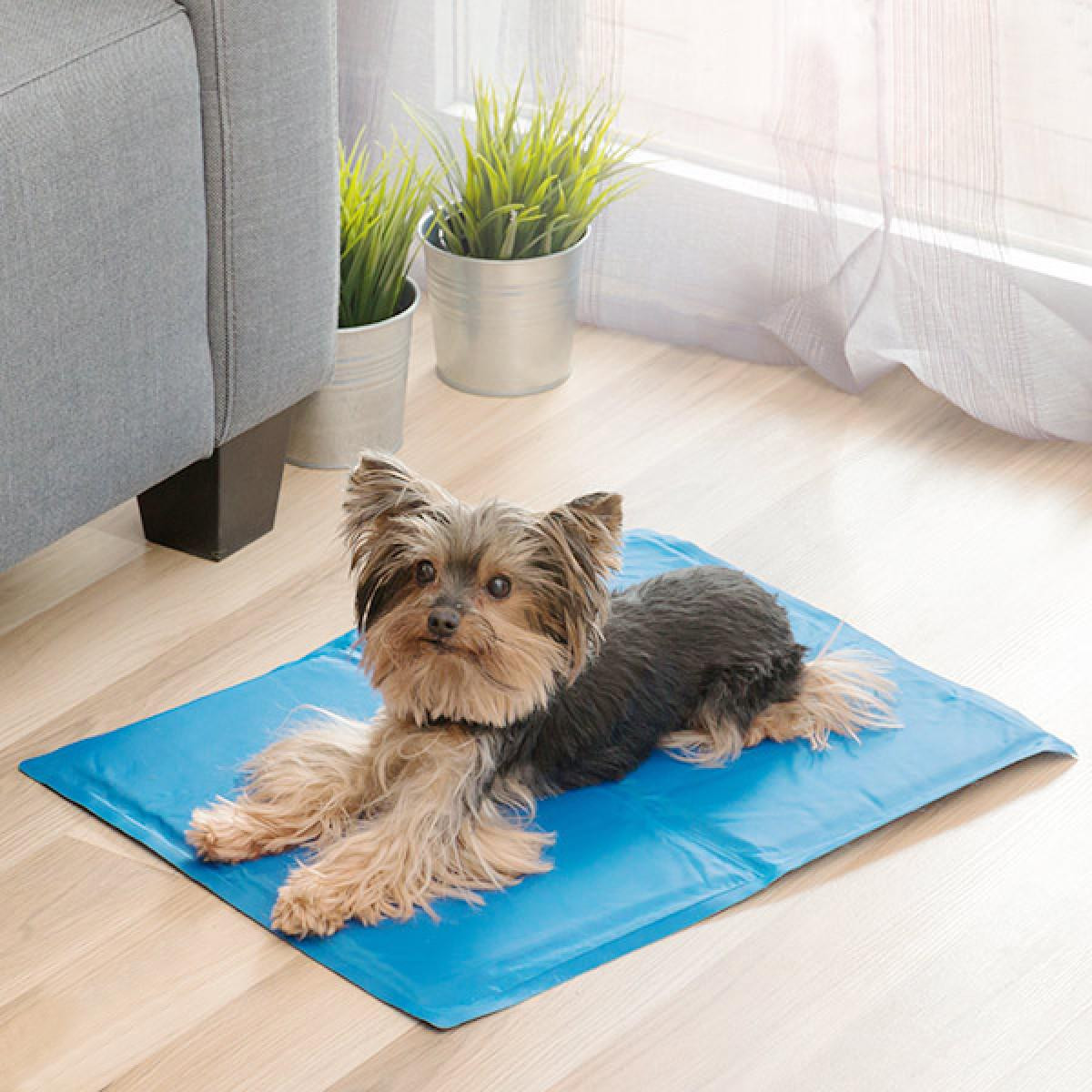 Refreshing Pet Mat - 40 x 50 cm