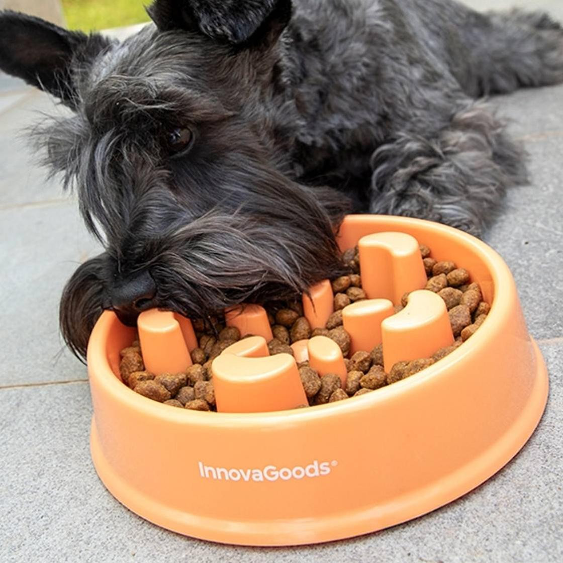 Tigela de comida para cães - comedouro lento