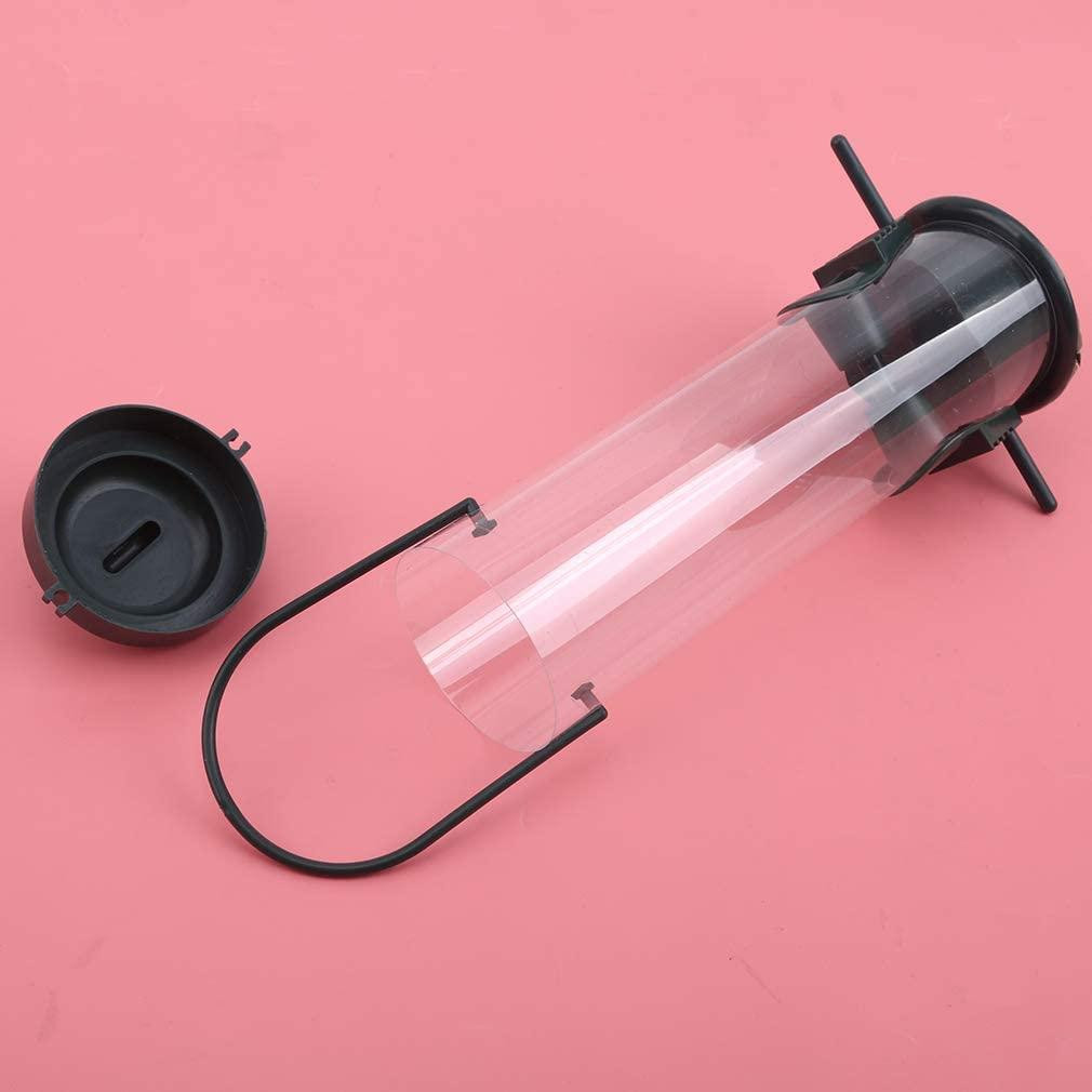 Bird Feeder for Seeds