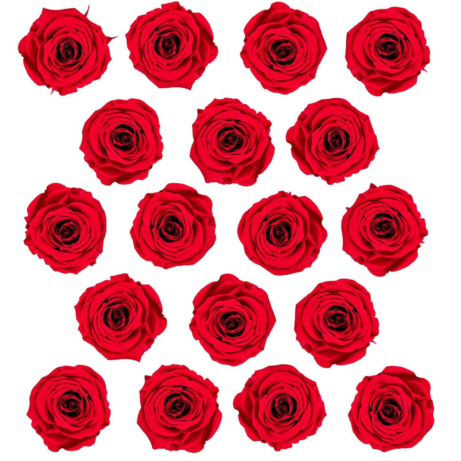 18x Small Eternity Roses